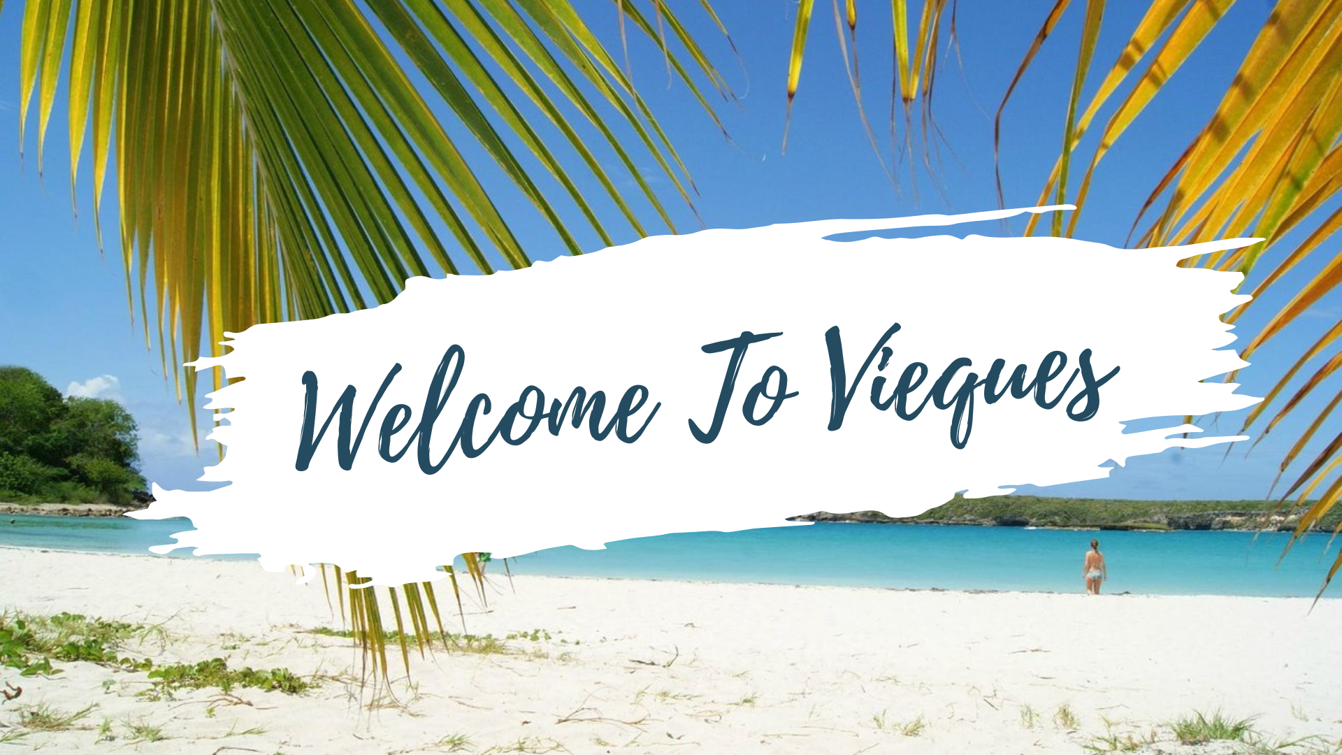Vieques Island Escape: Beach Day & Bioluminescent Kayak Adventure