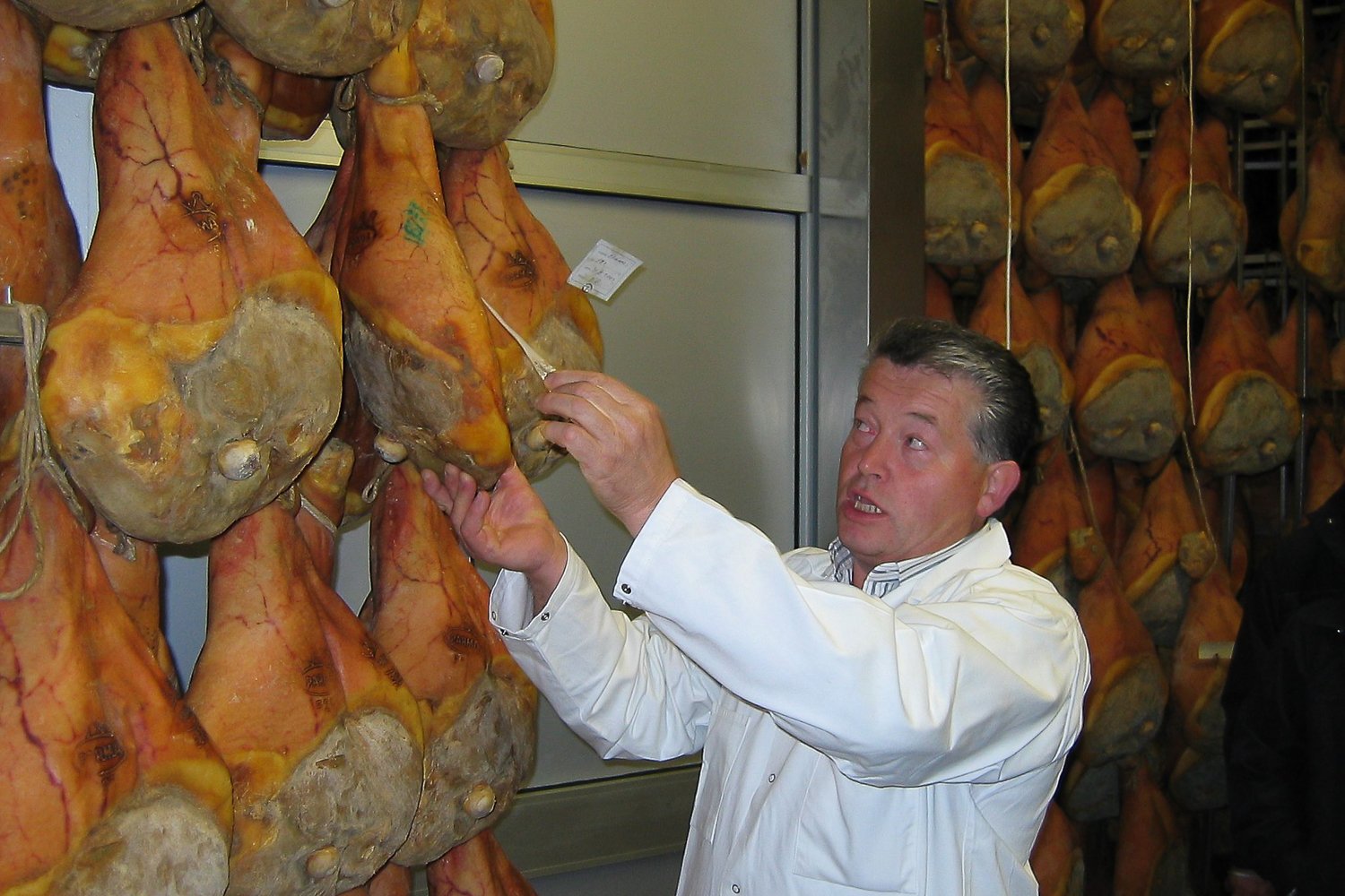 cheese tasting in Parma — photo 2