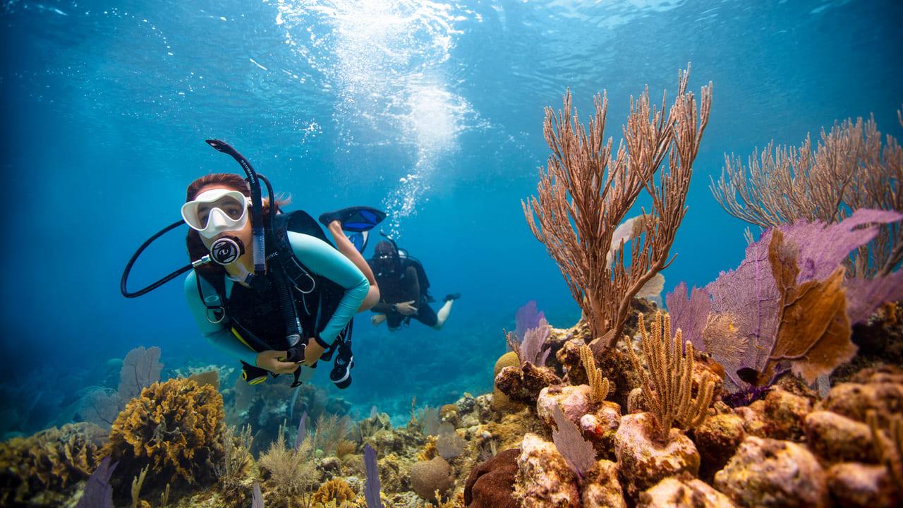 Las Catalinas Islands Double Dive Experience