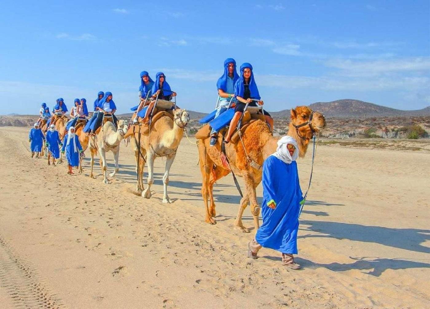Paradise Valley and Desert Dune Camel Trek from Agadir
