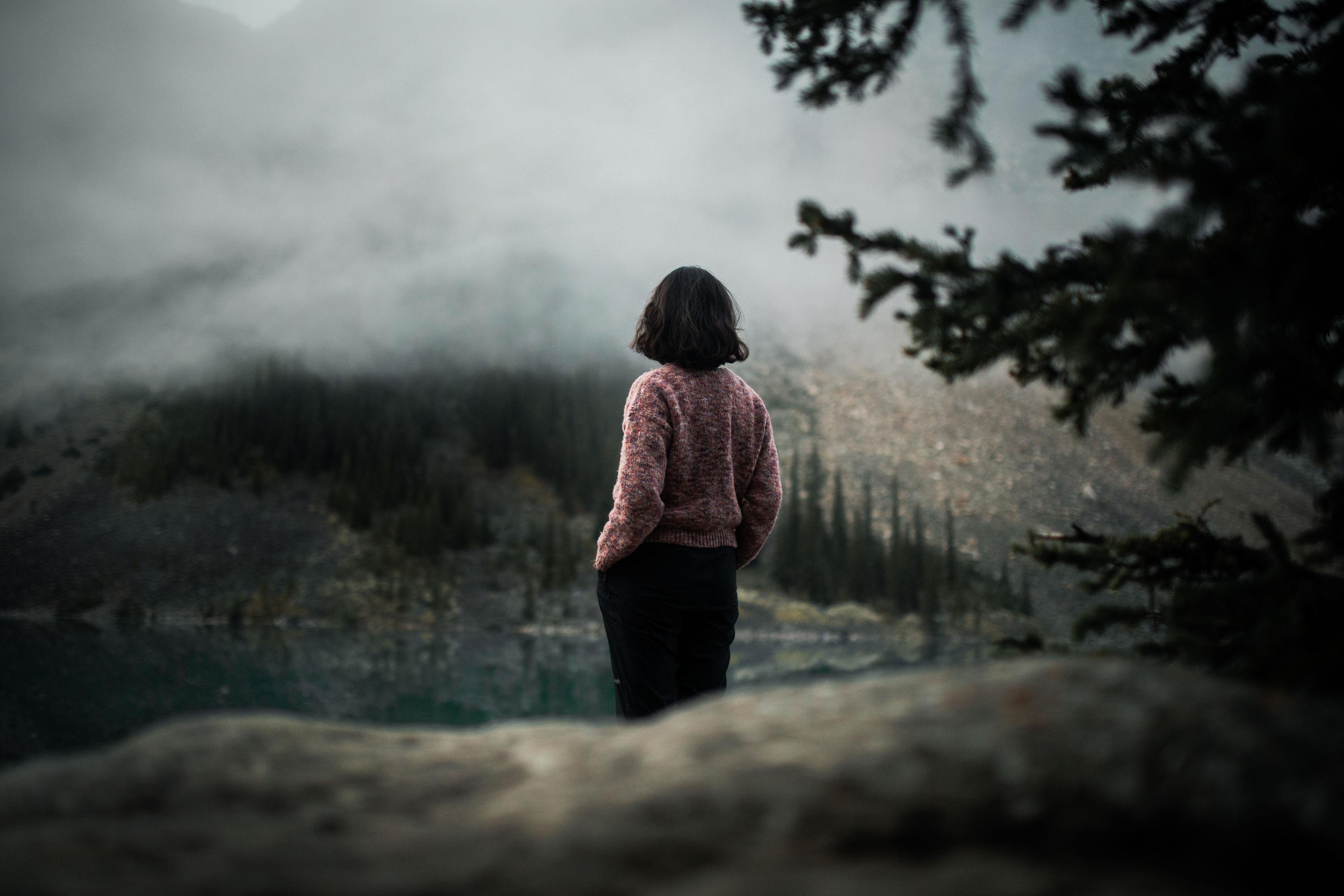 From Banff: Lake Louise and Moraine Lake Sightseeing Tour