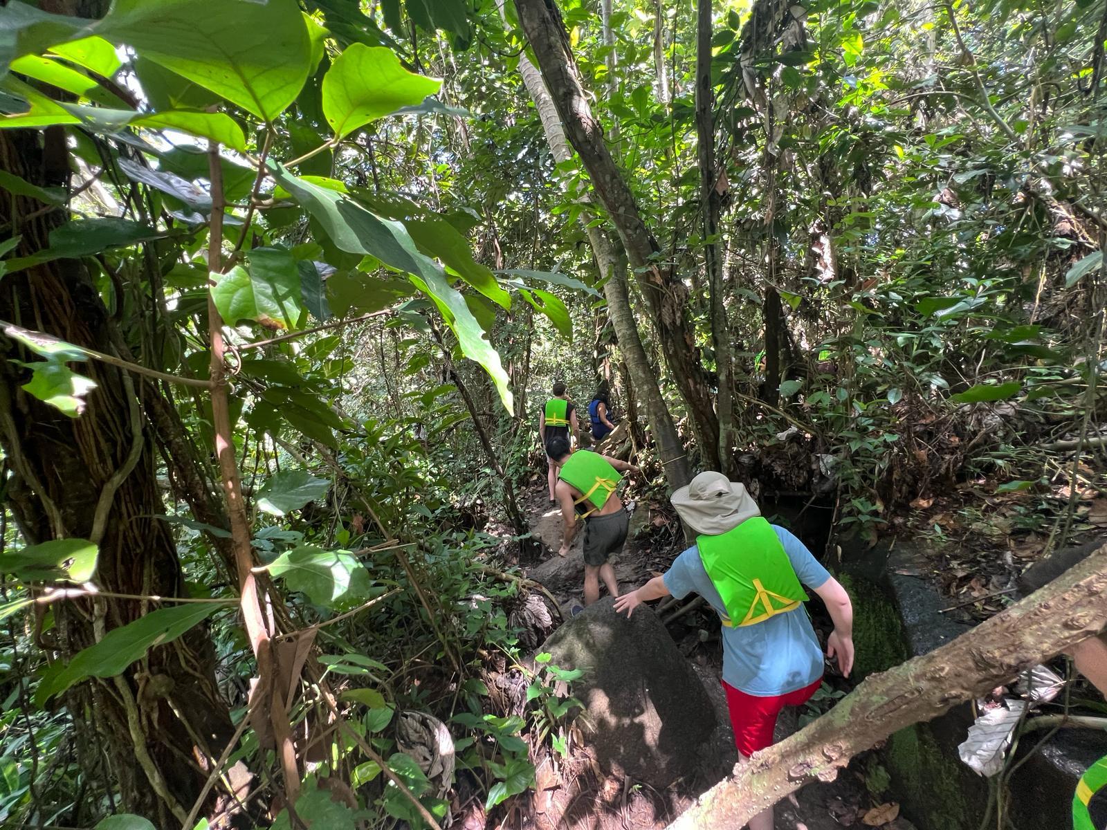 El Yunque Rainforest Adventure: Waterfalls, Slides & Luquillo Beach