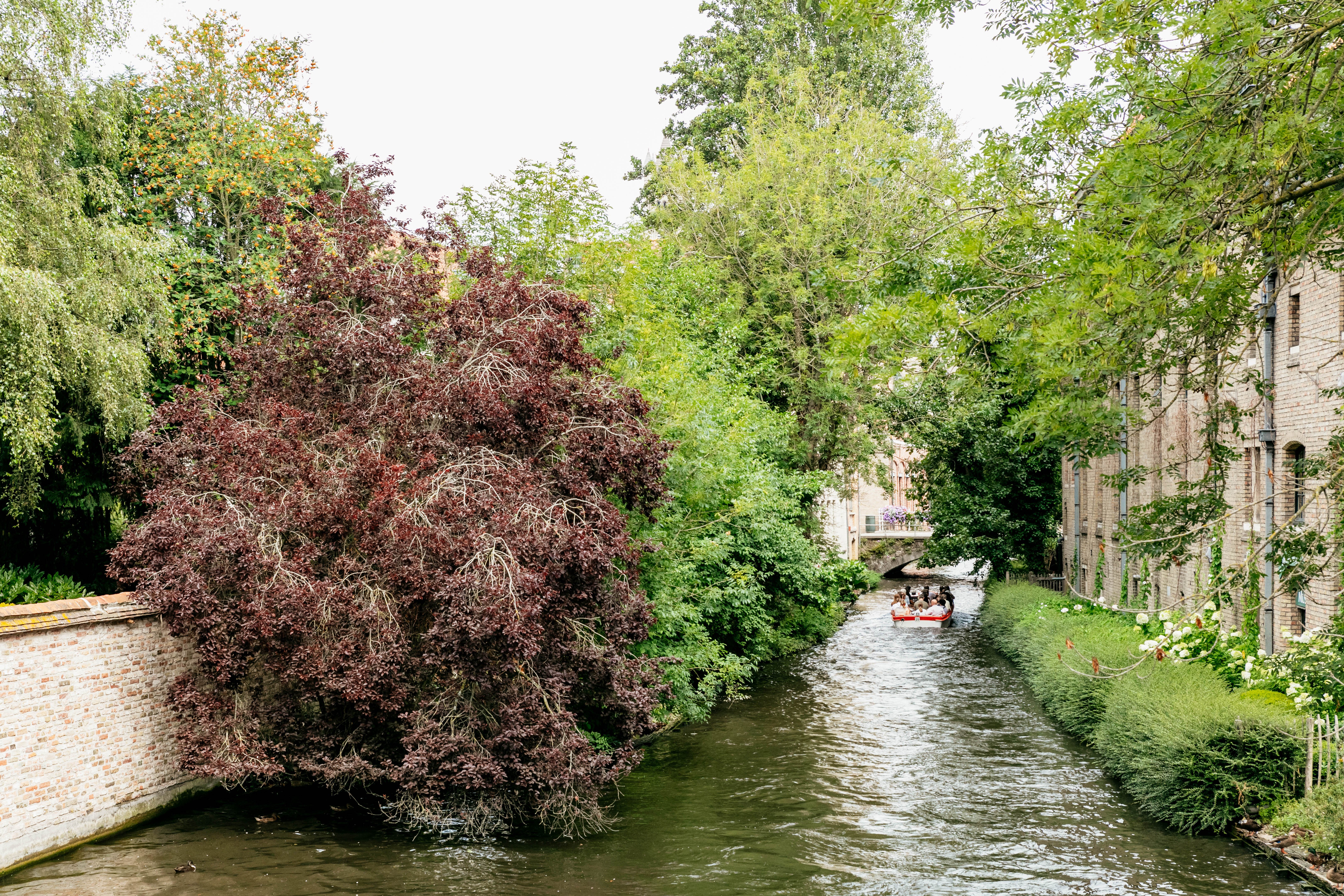 Bruges and Ghent day trip — medieval canals, belfries, guild houses and castle in Flanders — image 20