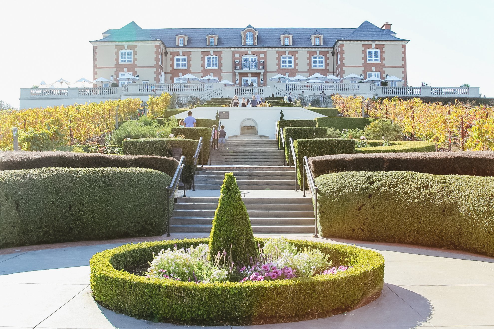 Napa Valley wine tour for couples — vineyards and tasting rooms — image 2