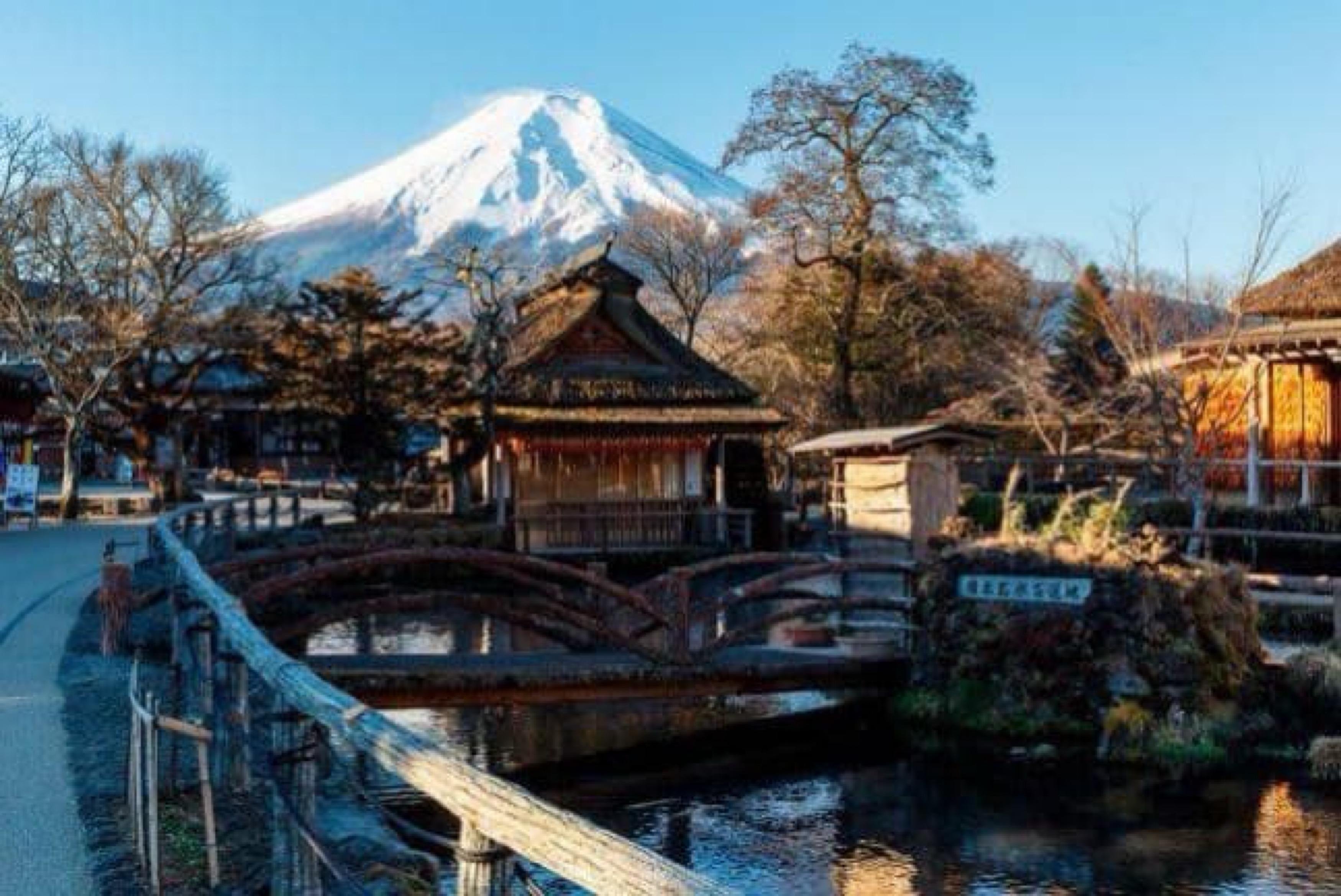 Mount Fuji Private Day Tour from Tokyo with English-Speaking Driver