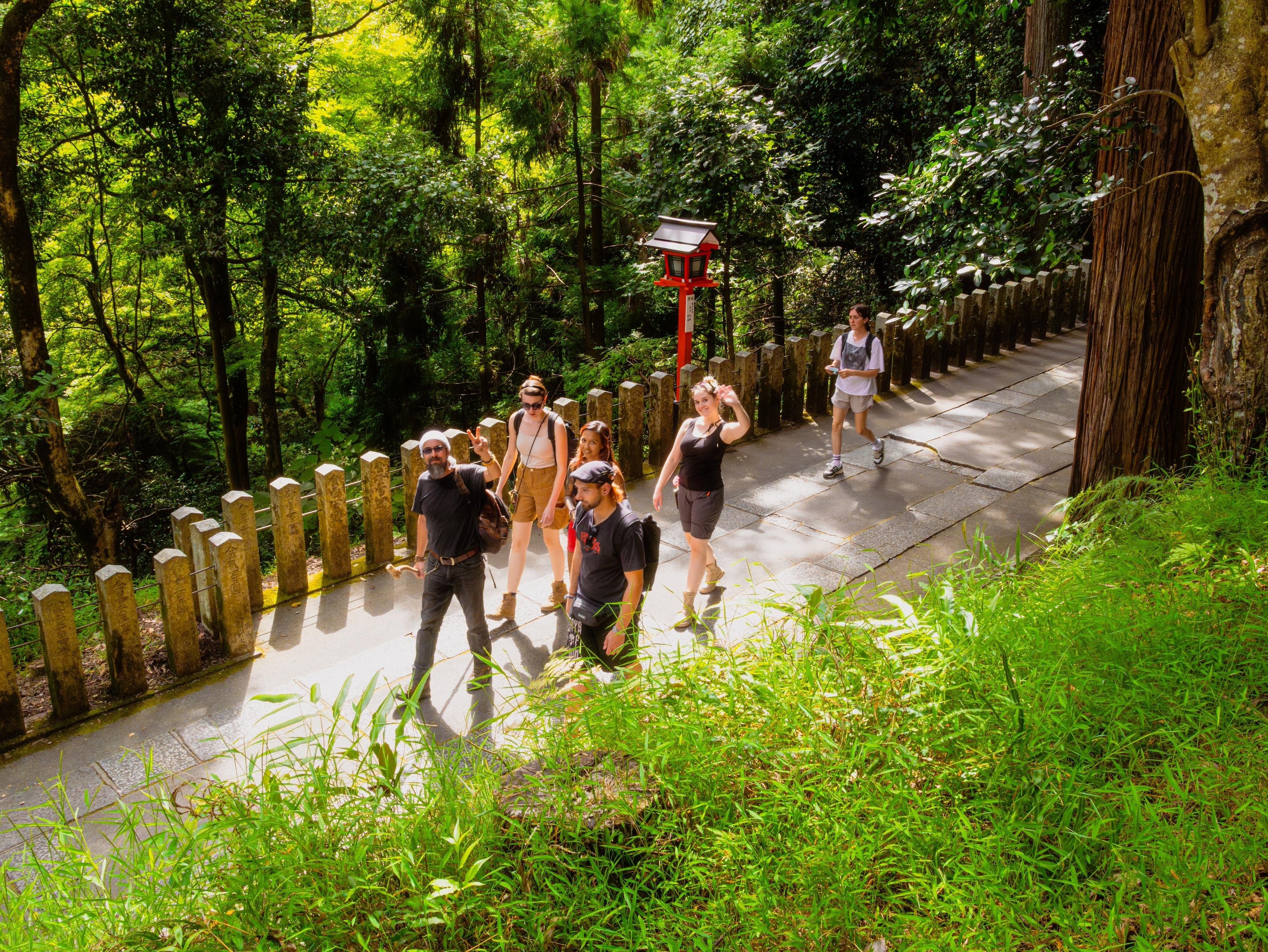 Kyoto experience — temples, geisha, bamboo grove — image 1