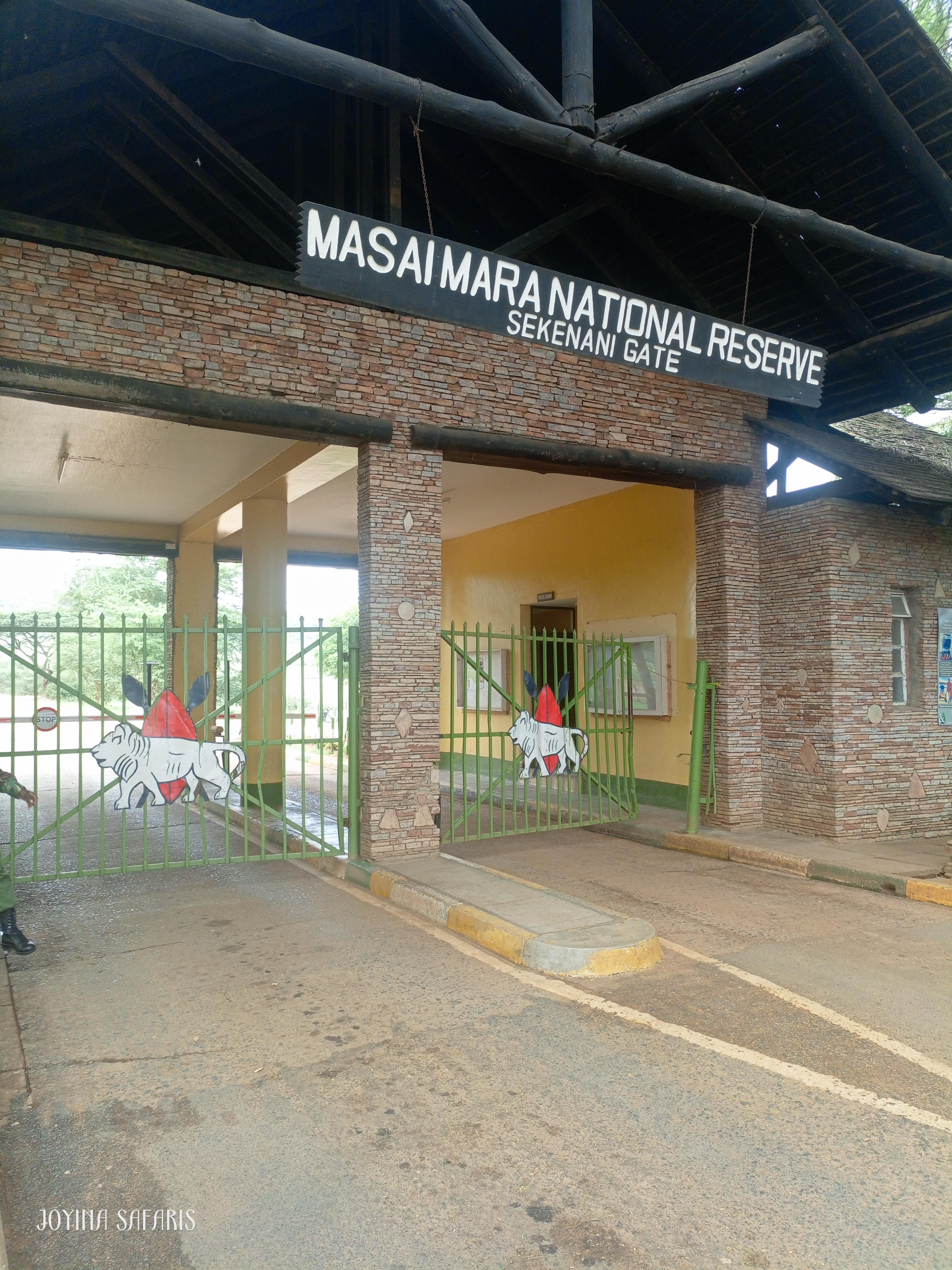3-Day Maasai Mara Safari by 4WD Landcruiser from Nairobi