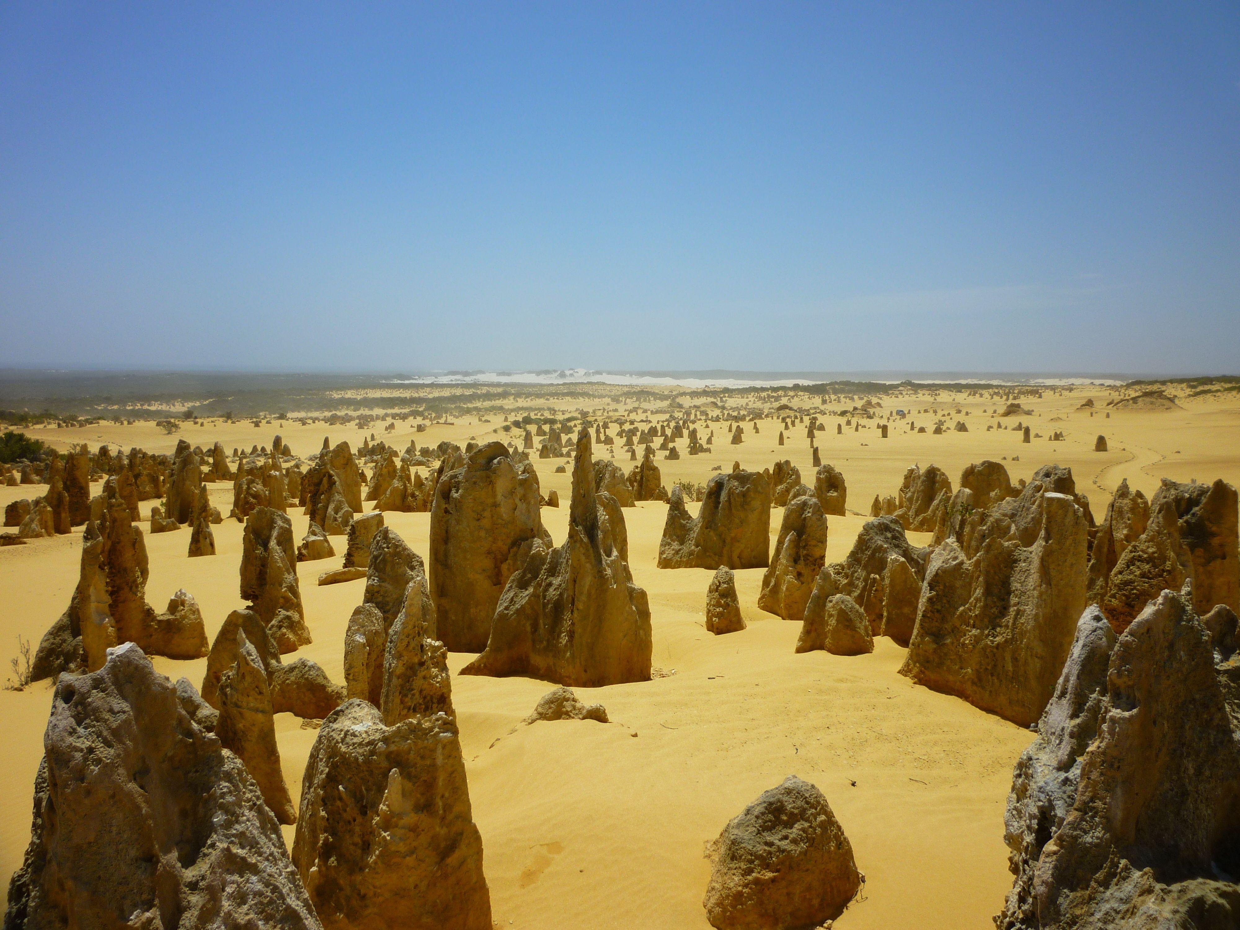 Pinnacles Desert Private Day Tour from Perth
