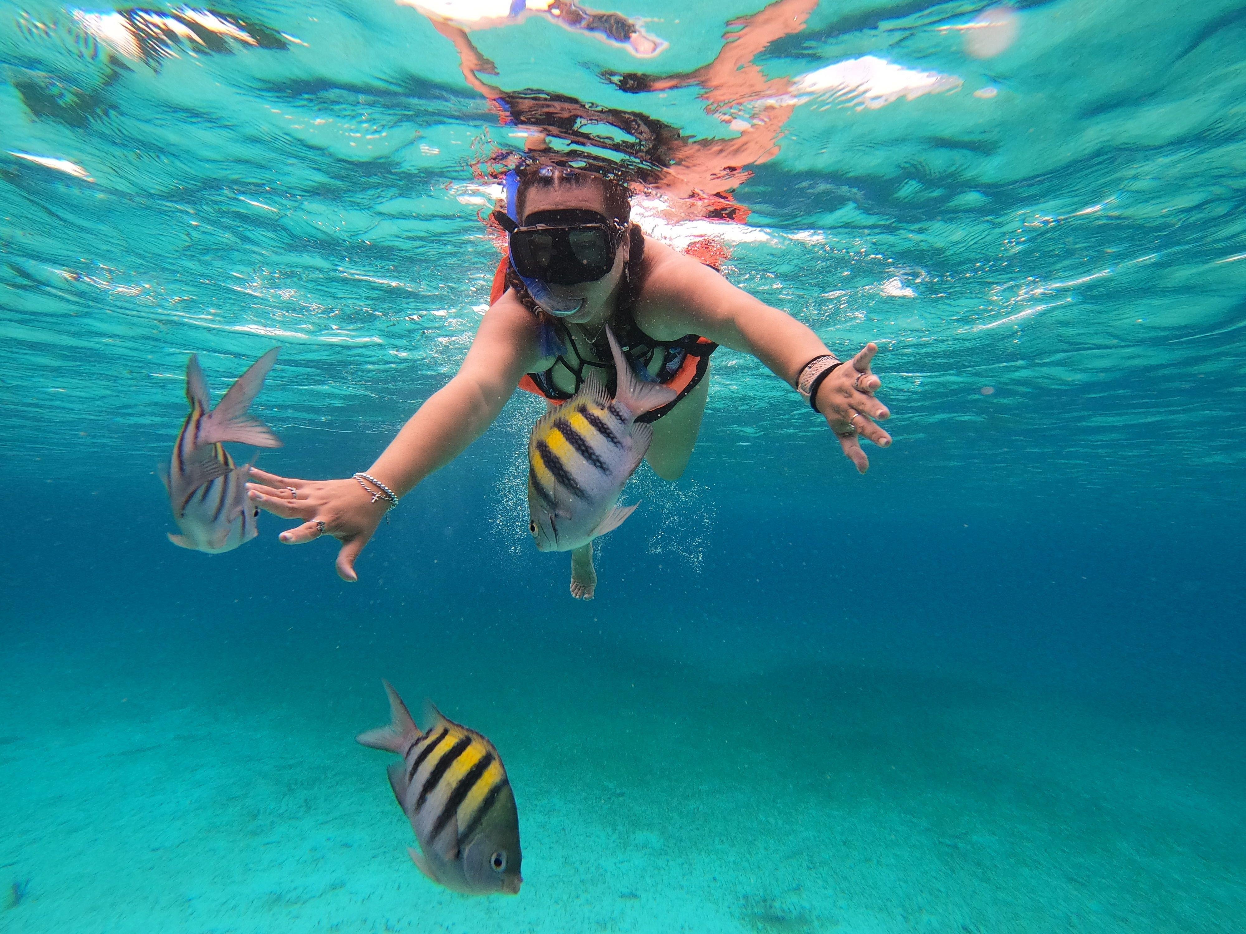 Zanzibar Safari Blue: Snorkeling, Sandbank & Seafood Day Trip