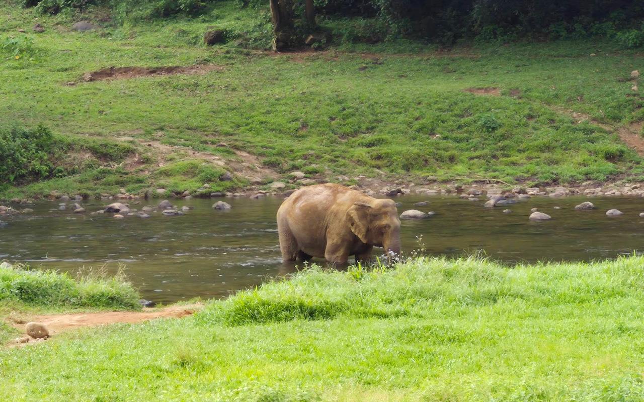 Mankulam Eco-Village & Jeep Safari Day Trip from Coimbatore