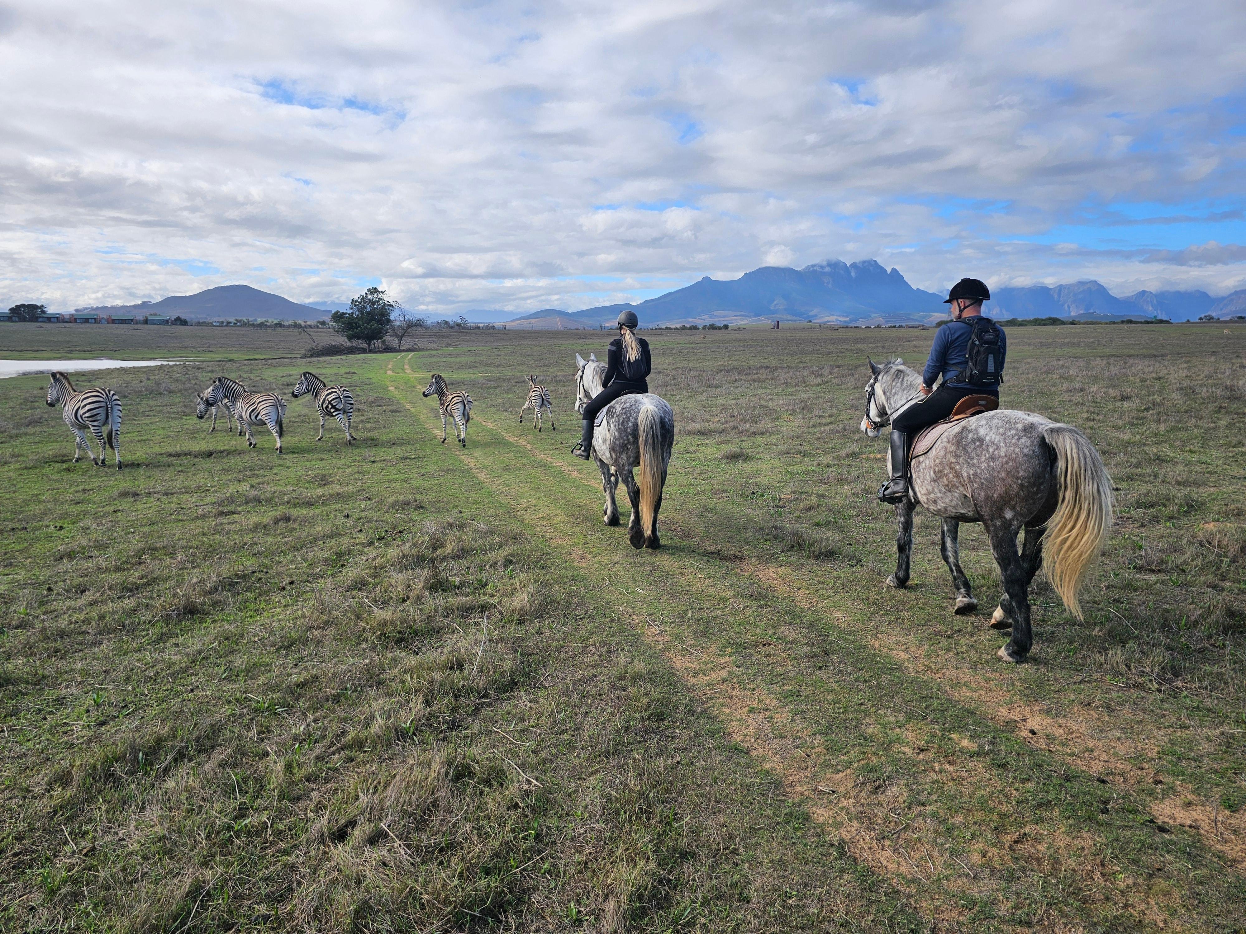 Stellenbosch Wildlife Safari on Horseback