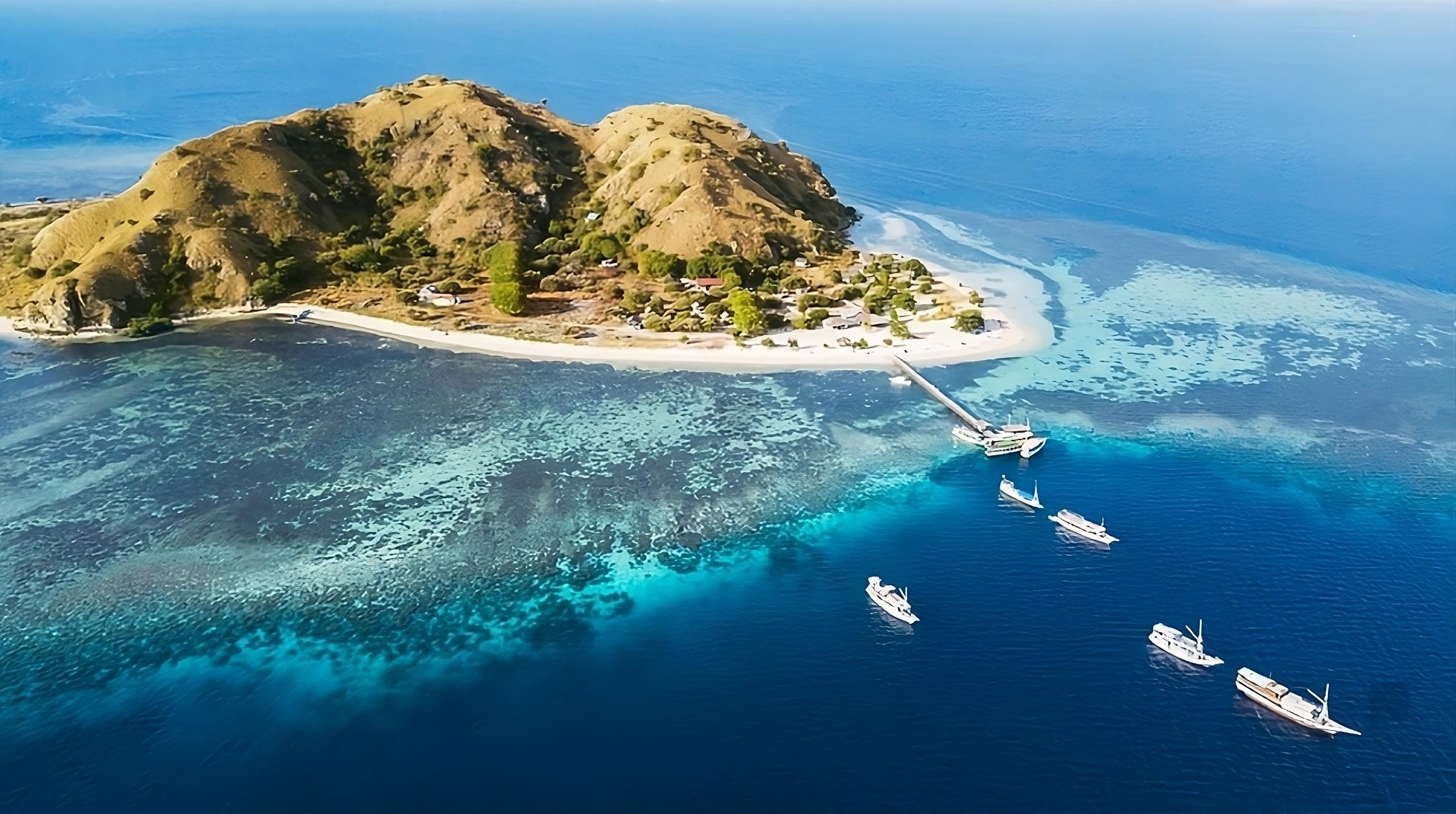 Komodo National Park Day Tour from Labuan Bajo with Snorkeling
