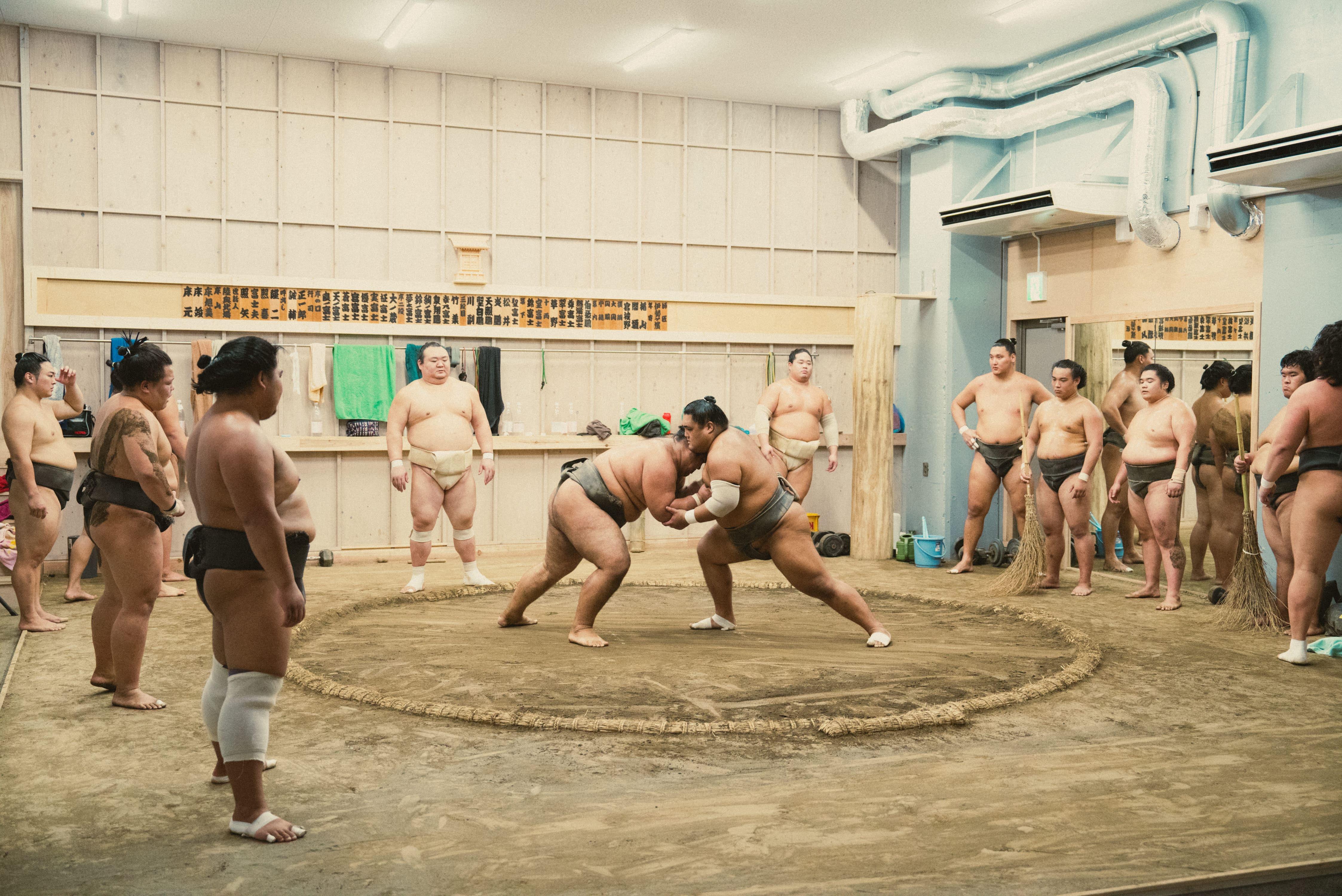 Tokyo Sumo Morning Practice Tour: Real Stable & Live Guide - 2026 (Verified Reviews)