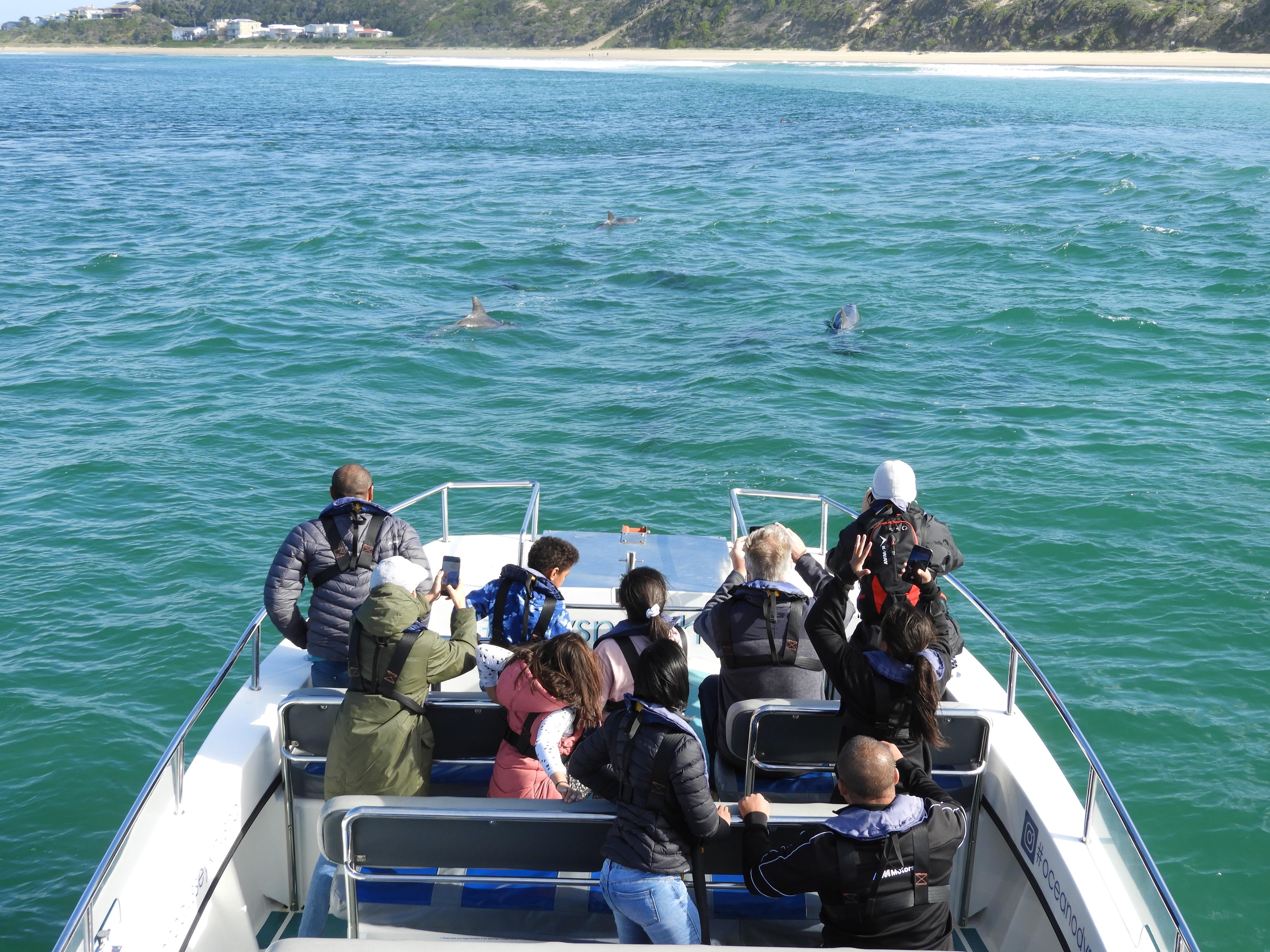 Knysna Estuary Eco Cruise with Marine Wildlife Viewing