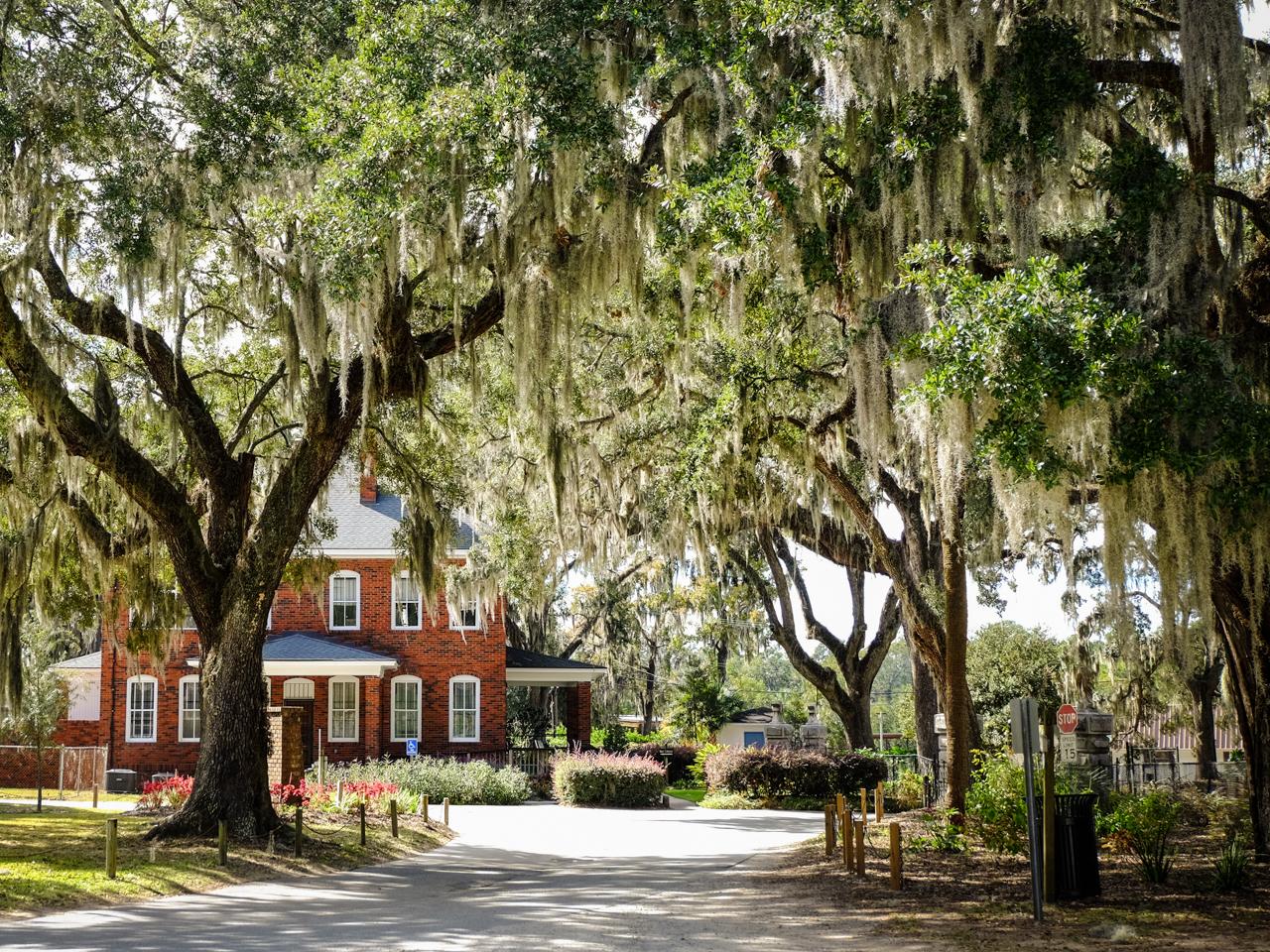 Savannah: Bonaventure Cemetery Tour