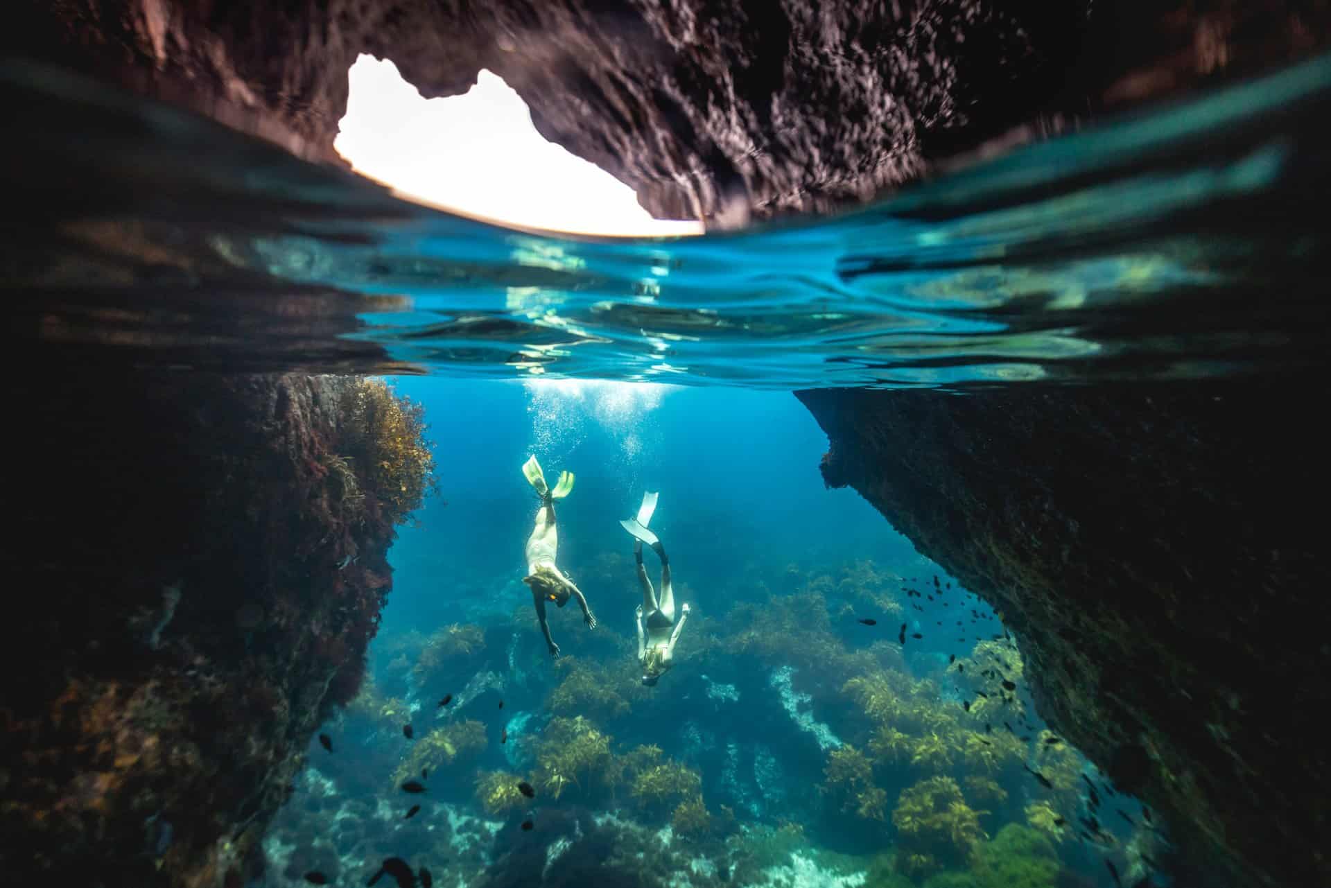 Hauraki Gulf Snorkeling & Tiritiri Matangi Island Eco-Walk
