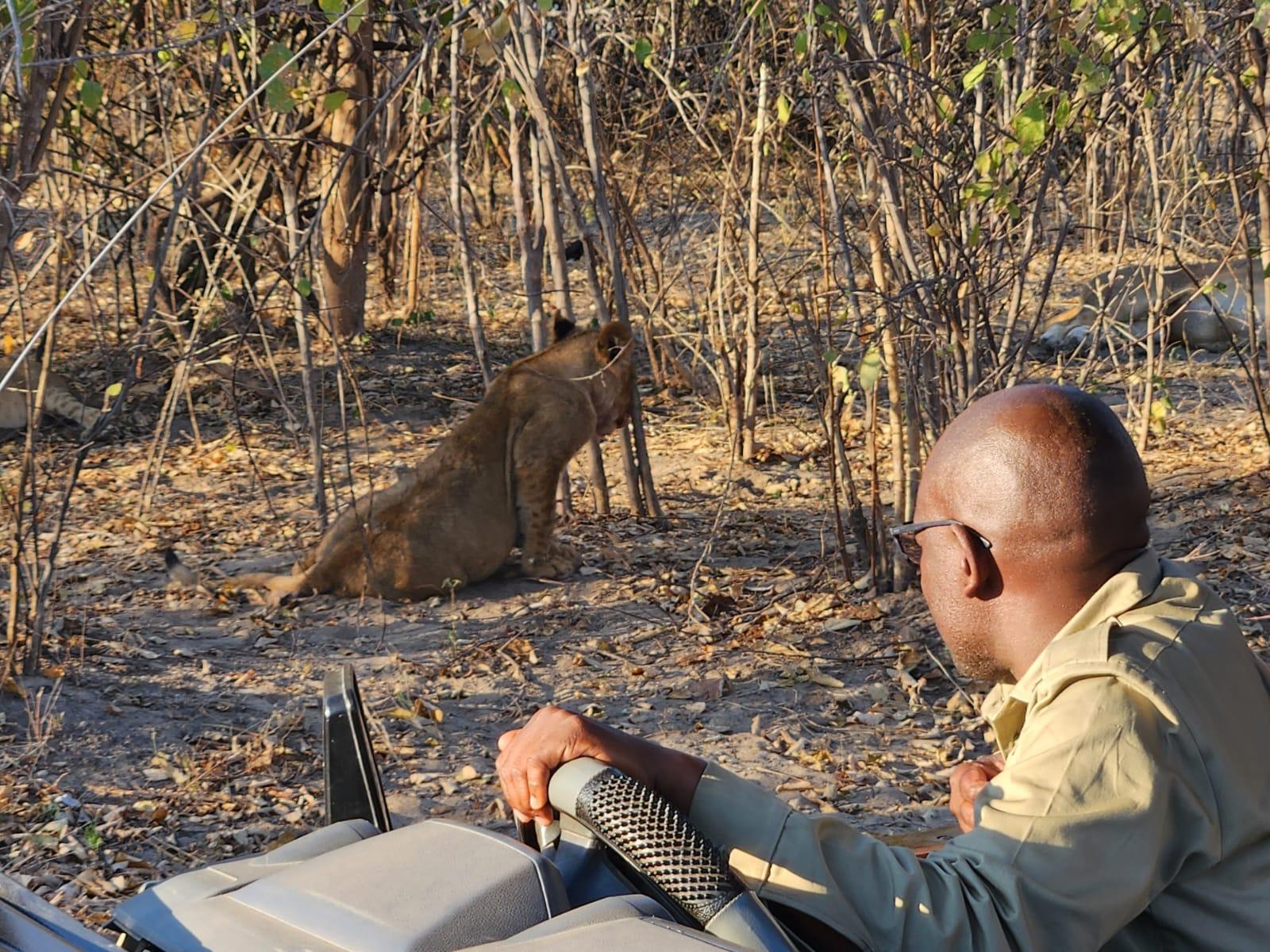 Zambezi National Park 4x4 Game Drive