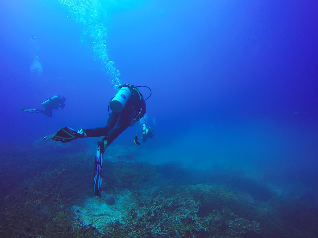 Ras Mohammed Luxury Dive Cruise from Sharm El Sheikh with Lunch