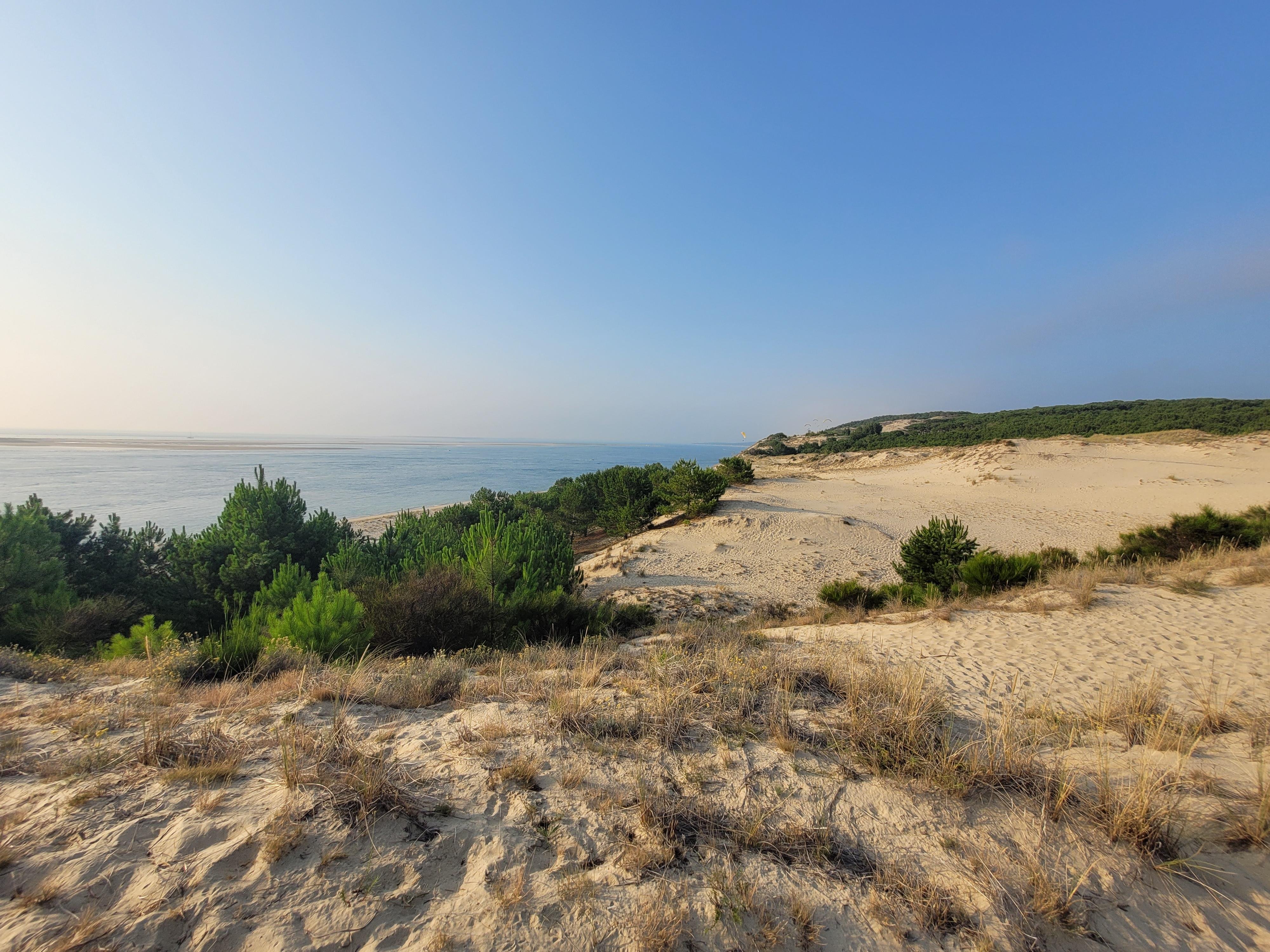 oyster tasting in Arcachon — Dune of Pilat, Arcachon Bay, and Oyster Village Private Tour from Bordeaux - 2026 (Verified Reviews)