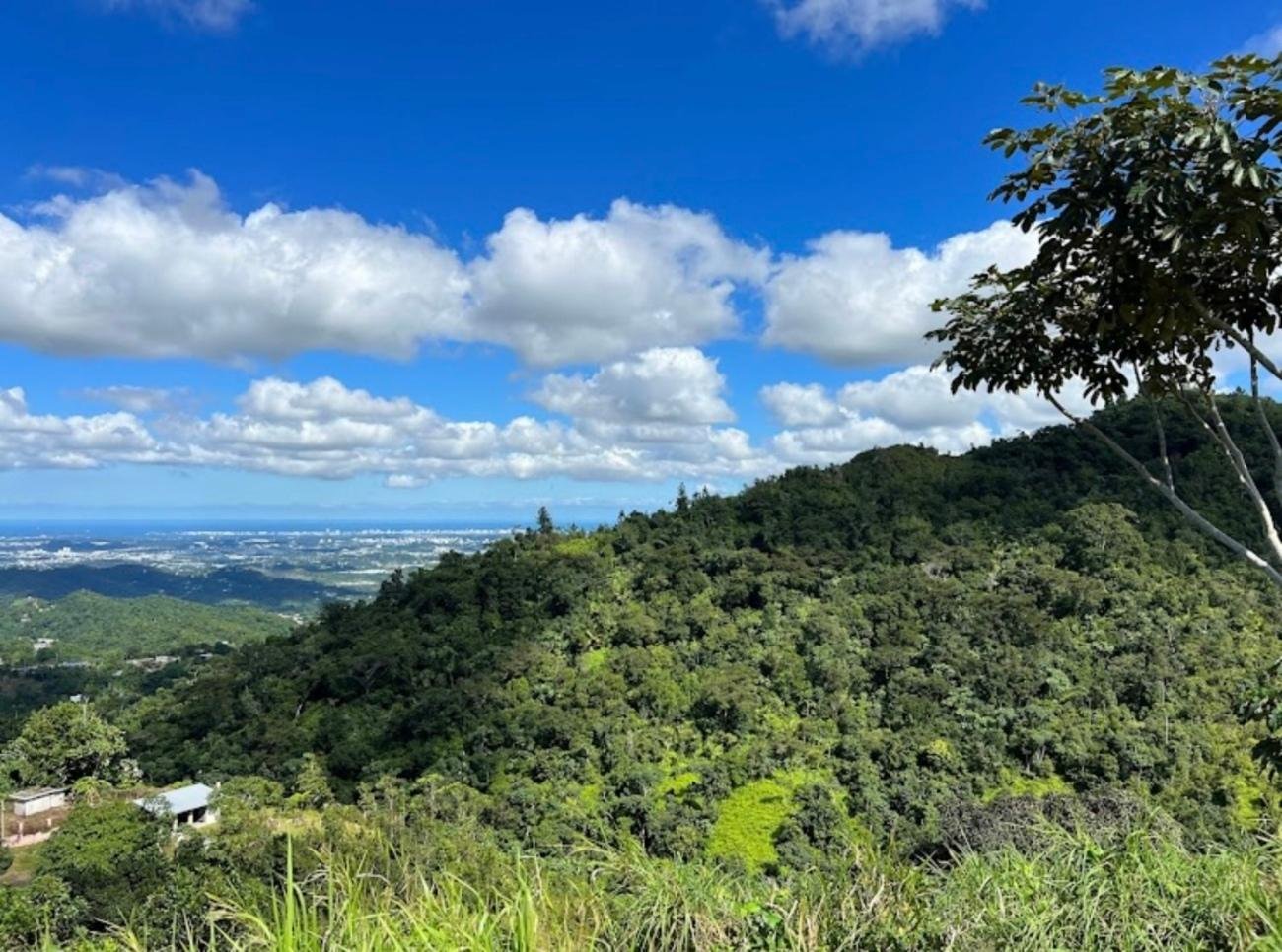 Cultural Exploration & Mountain Landscapes: San Juan Tour
