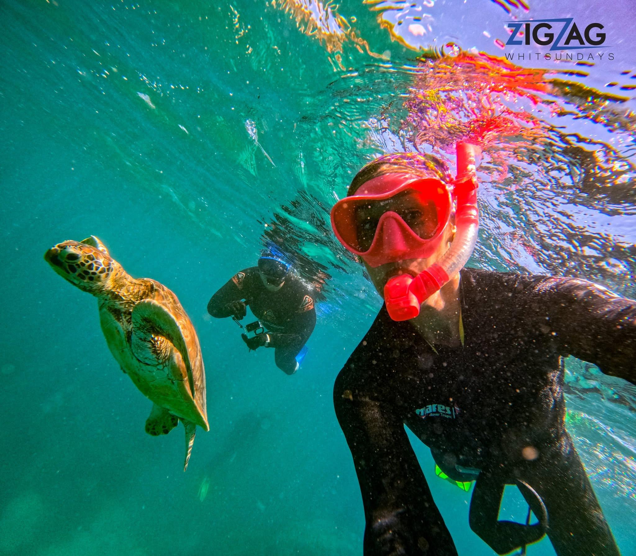 Whitehaven Beach Full-Day Catamaran Tour from Airlie Beach