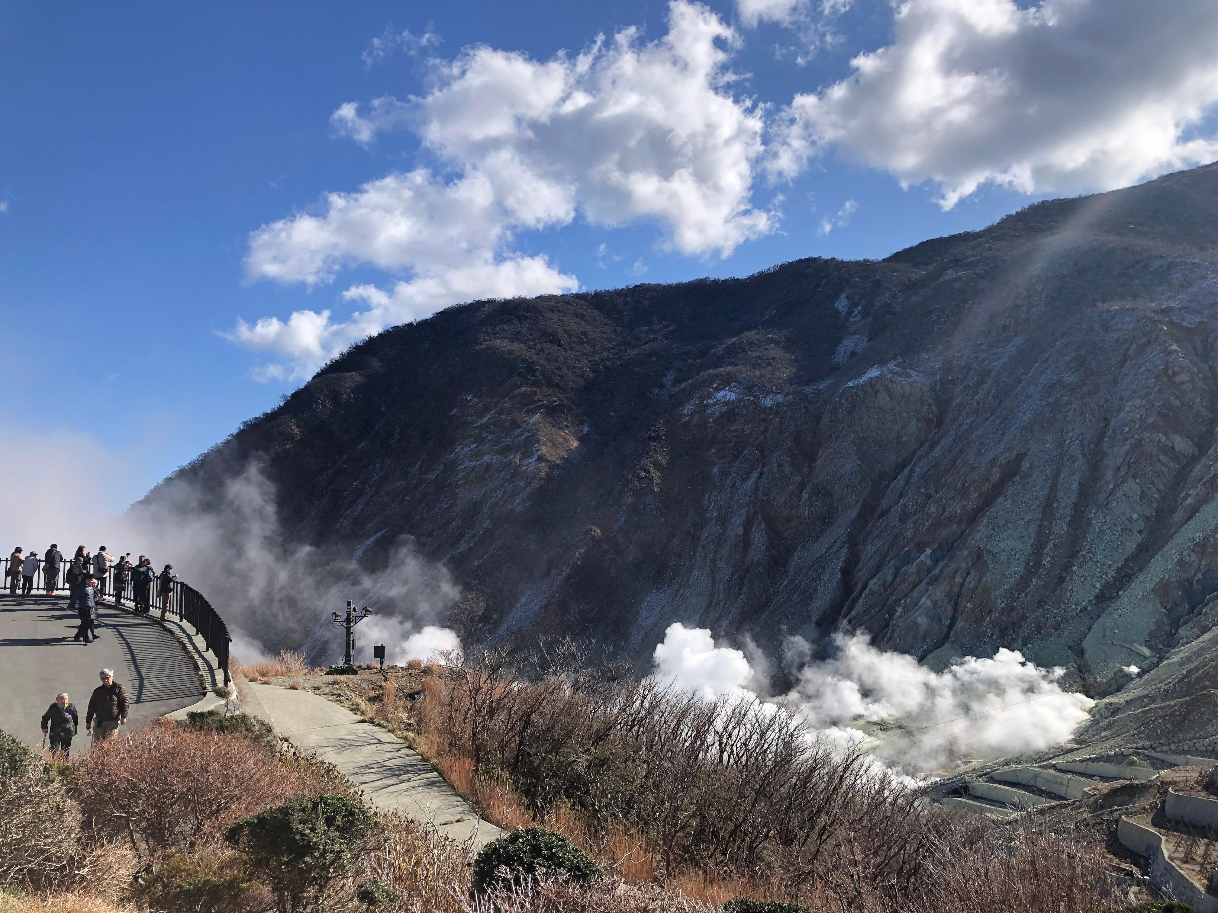 Mt. Fuji & Hakone Day Tour with Bullet Train Return from Tokyo
