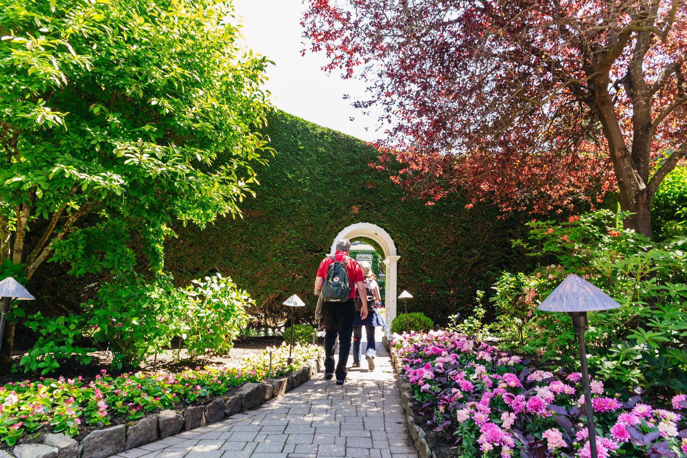 Butchart Gardens — the Sunken Garden, Rose Garden and Japanese Garden — image 6