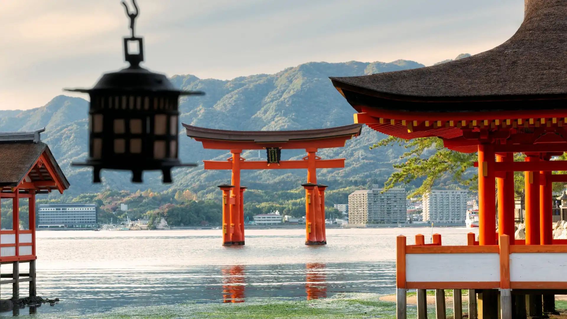 Hiroshima & Miyajima Private UNESCO Day Tour