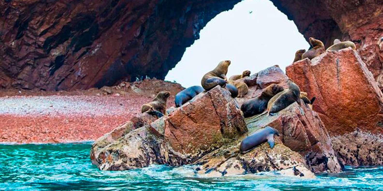 Ultimate 16-Day Peru & Bolivia Adventure