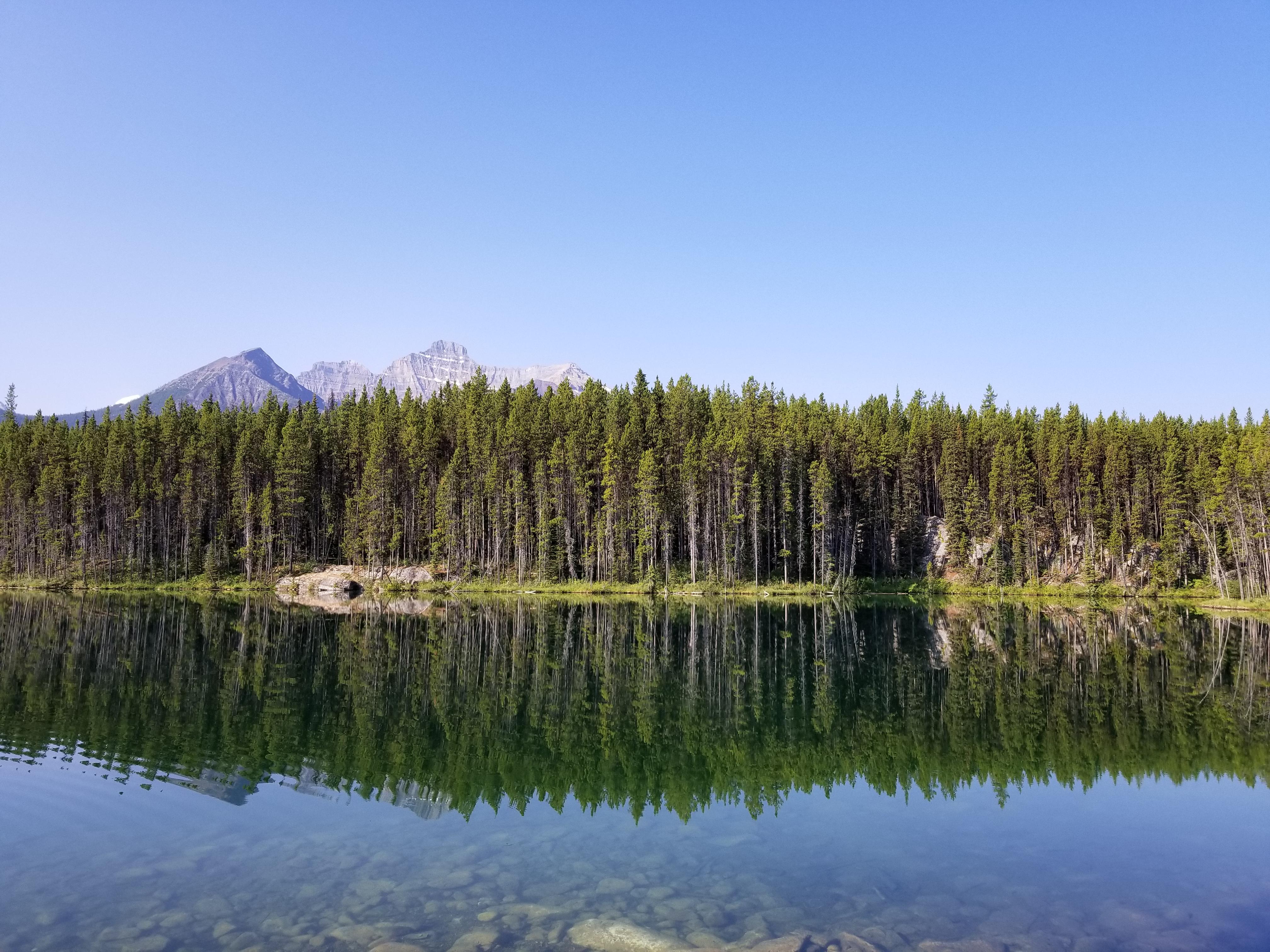 Lake View Tour-Lake Moraine, Louise,Emerald,Peyto,Vermillion - 2026 (Verified Reviews)