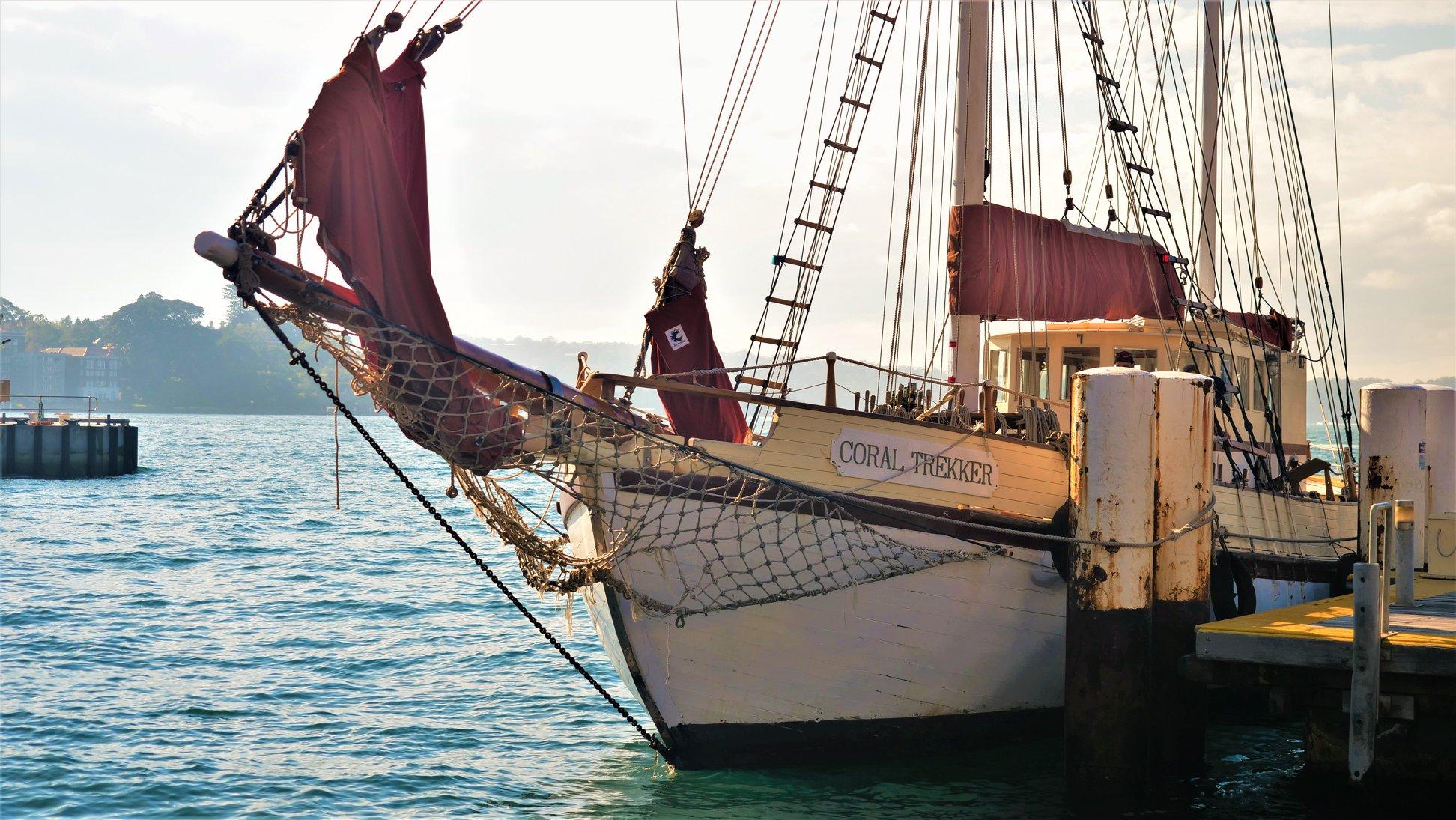 Sydney Harbour Twilight Sail & Dinner Aboard Coral Trekker