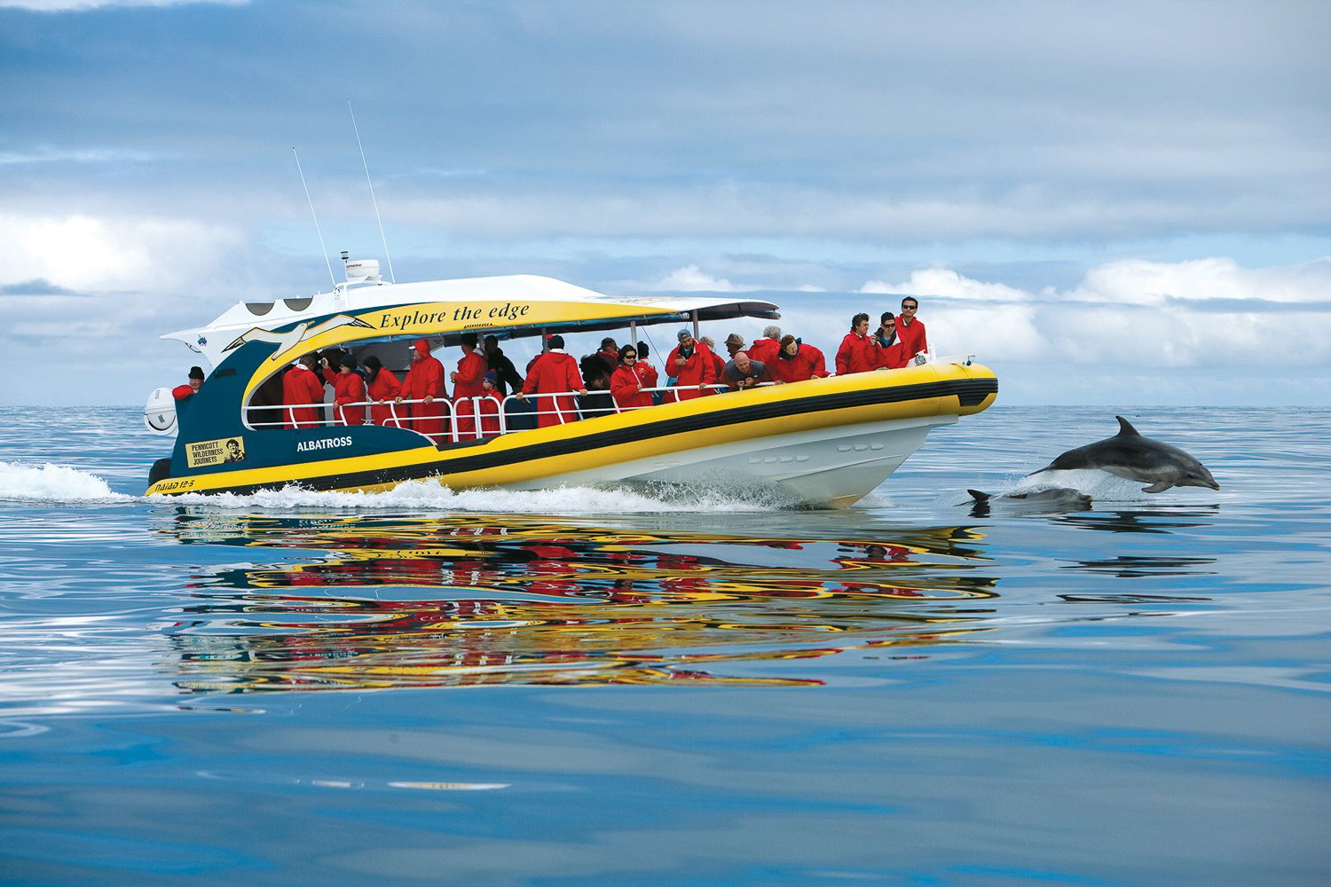 Bruny Island Wilderness Coast Eco Cruise with Lunch from Hobart