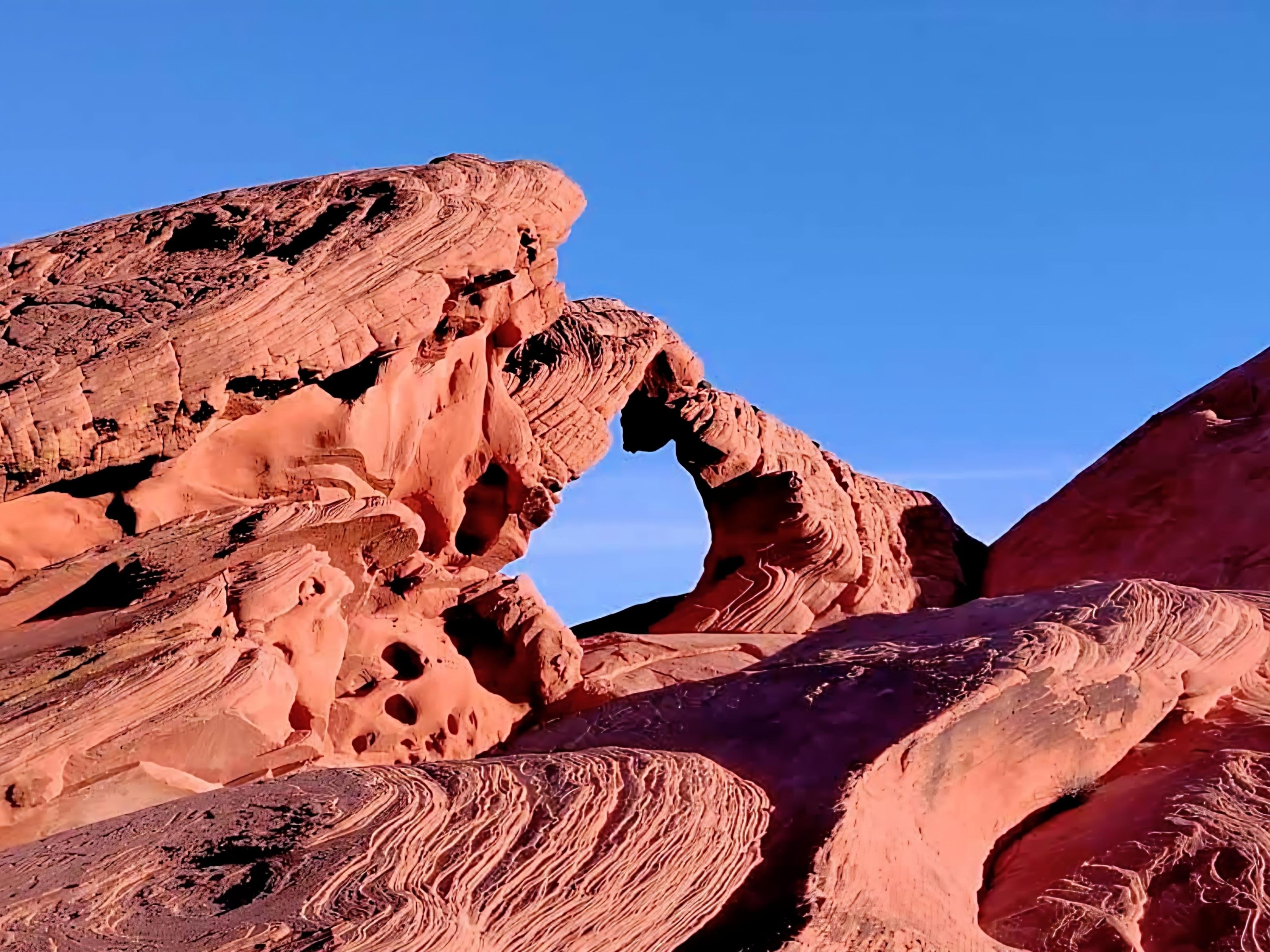 Valley of Fire Private Half-Day Tour from Las Vegas