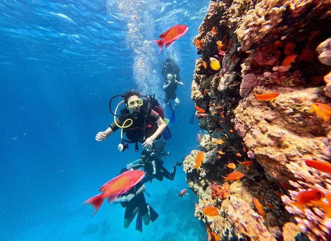 Sharm El Sheikh: Private Yacht Snorkeling & Diving Day Trip