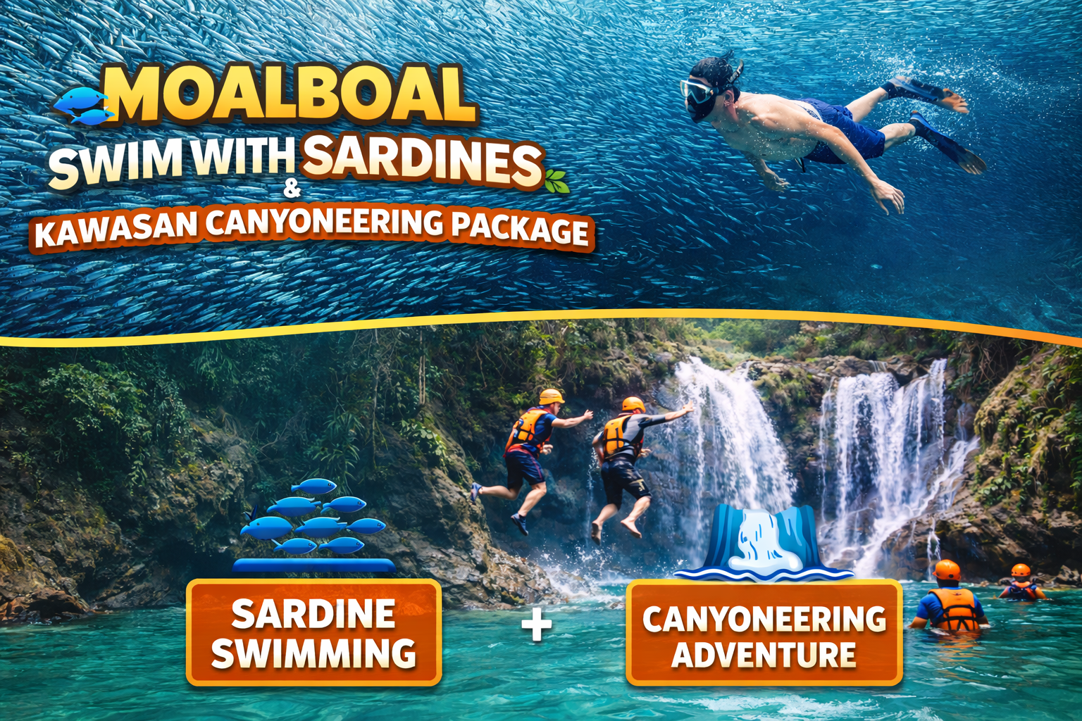 Moalboal Sardine Run & Kawasan Falls Canyoneering Day Trip