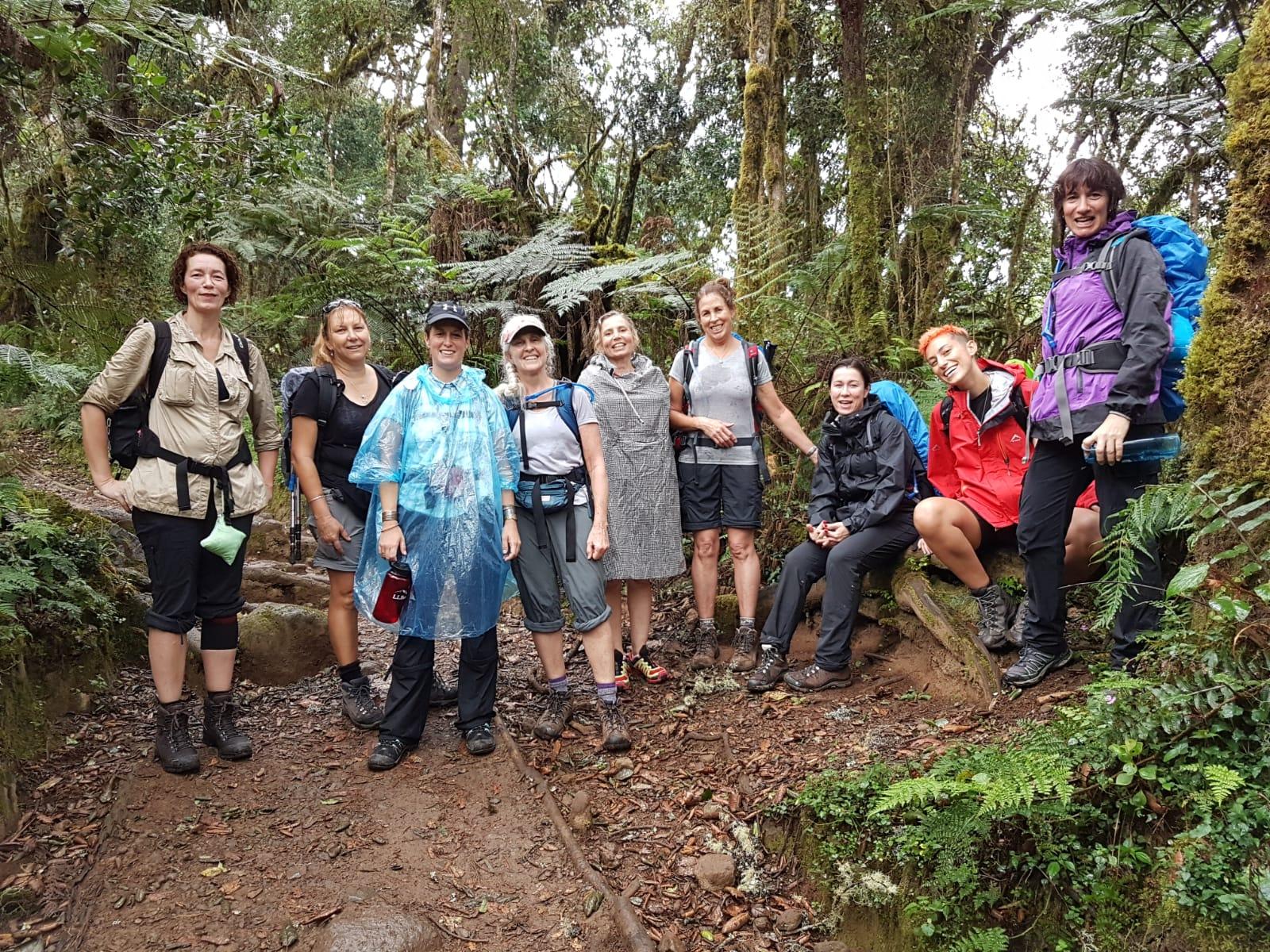 Kilimanjaro Day Hike via Marangu Route