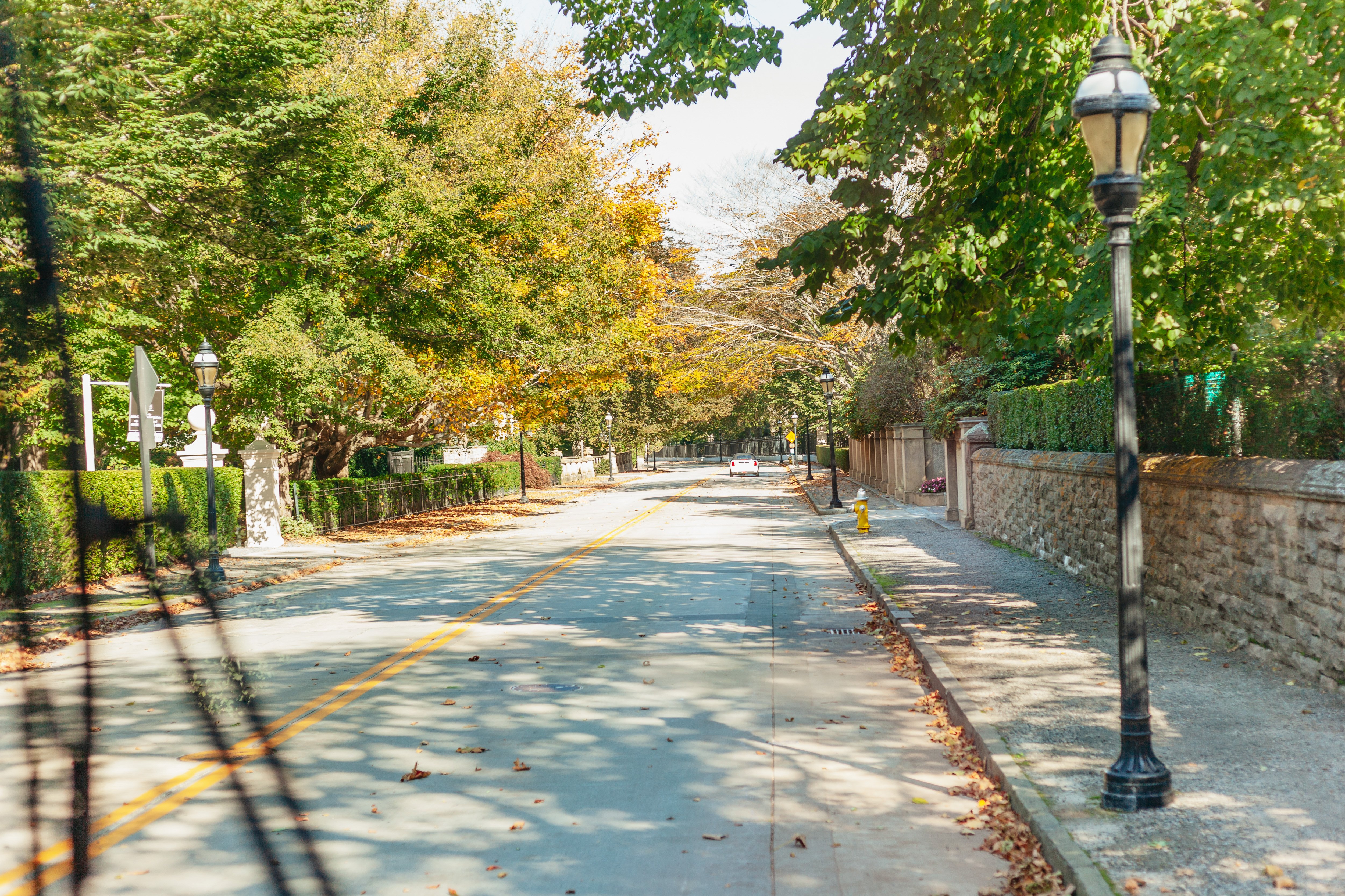 Newport Scenic Trolley Expedition
