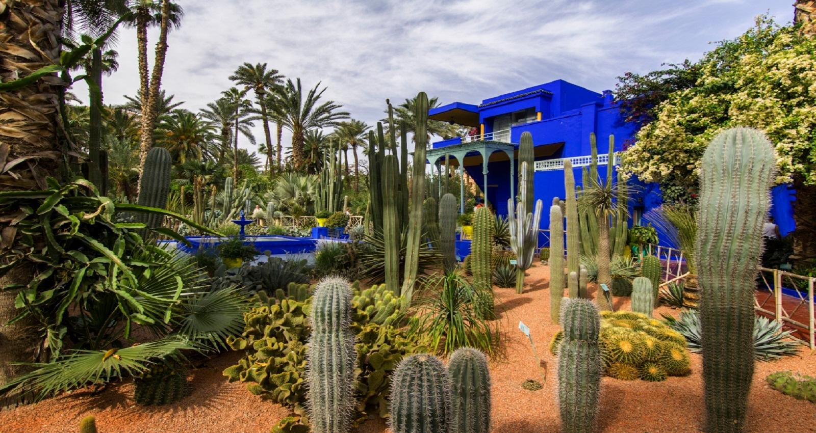 Marrakech Day Trip from Agadir: Guided or Self-Guided Options