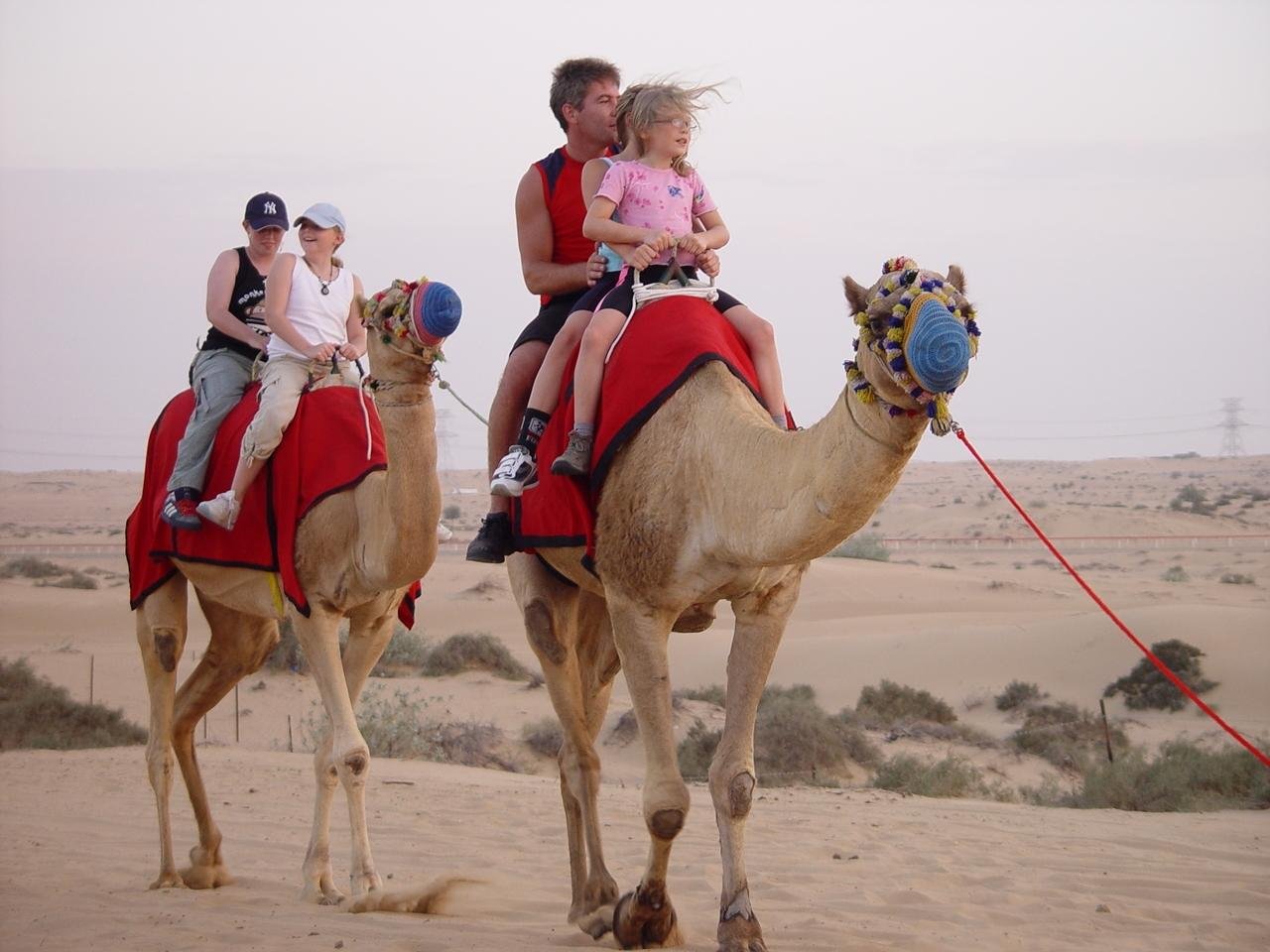 Agadir Camel Trekking Adventure with Refreshments