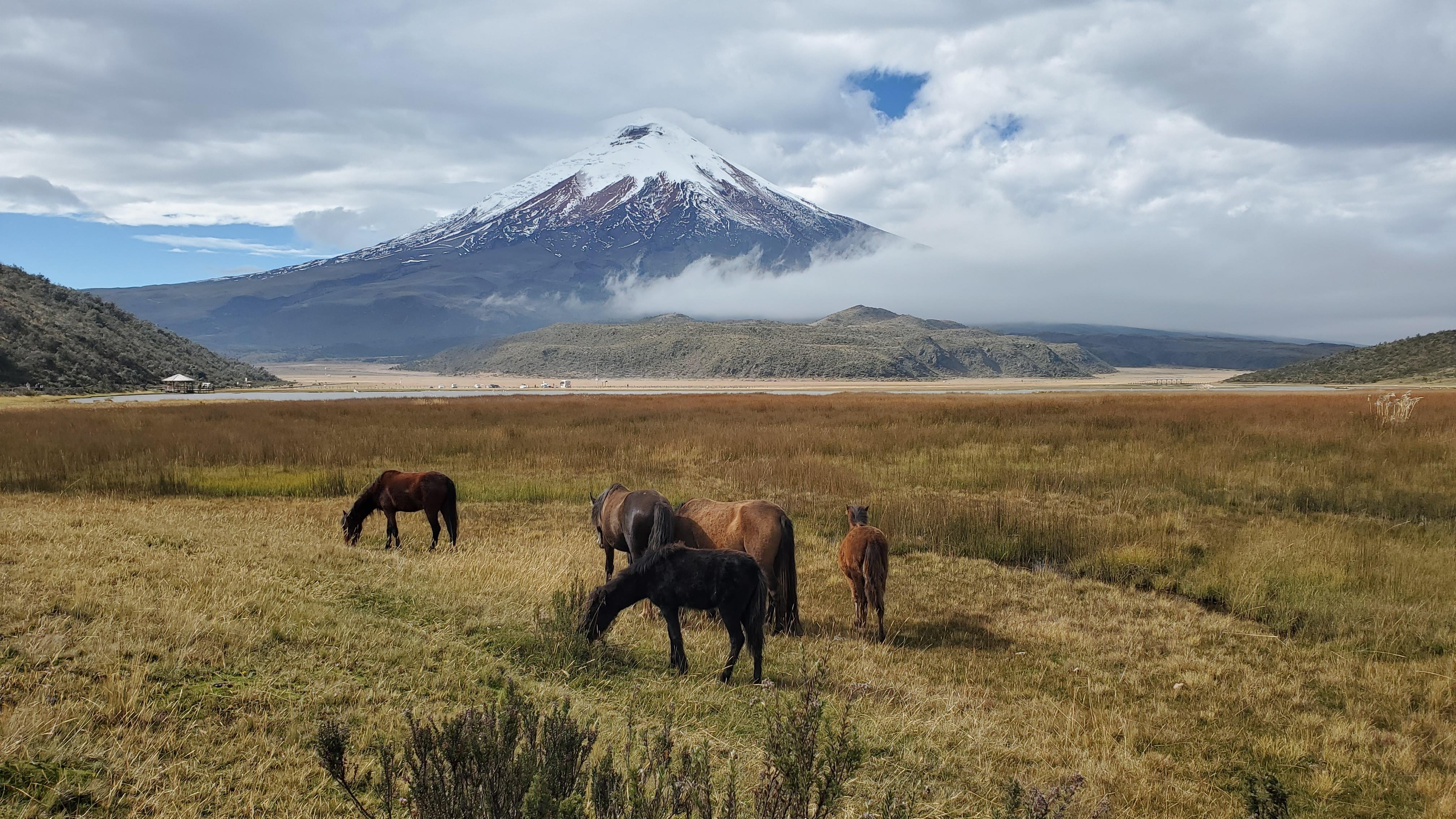 Private Andes Road Trip: Cotopaxi & Quilotoa Lagoon