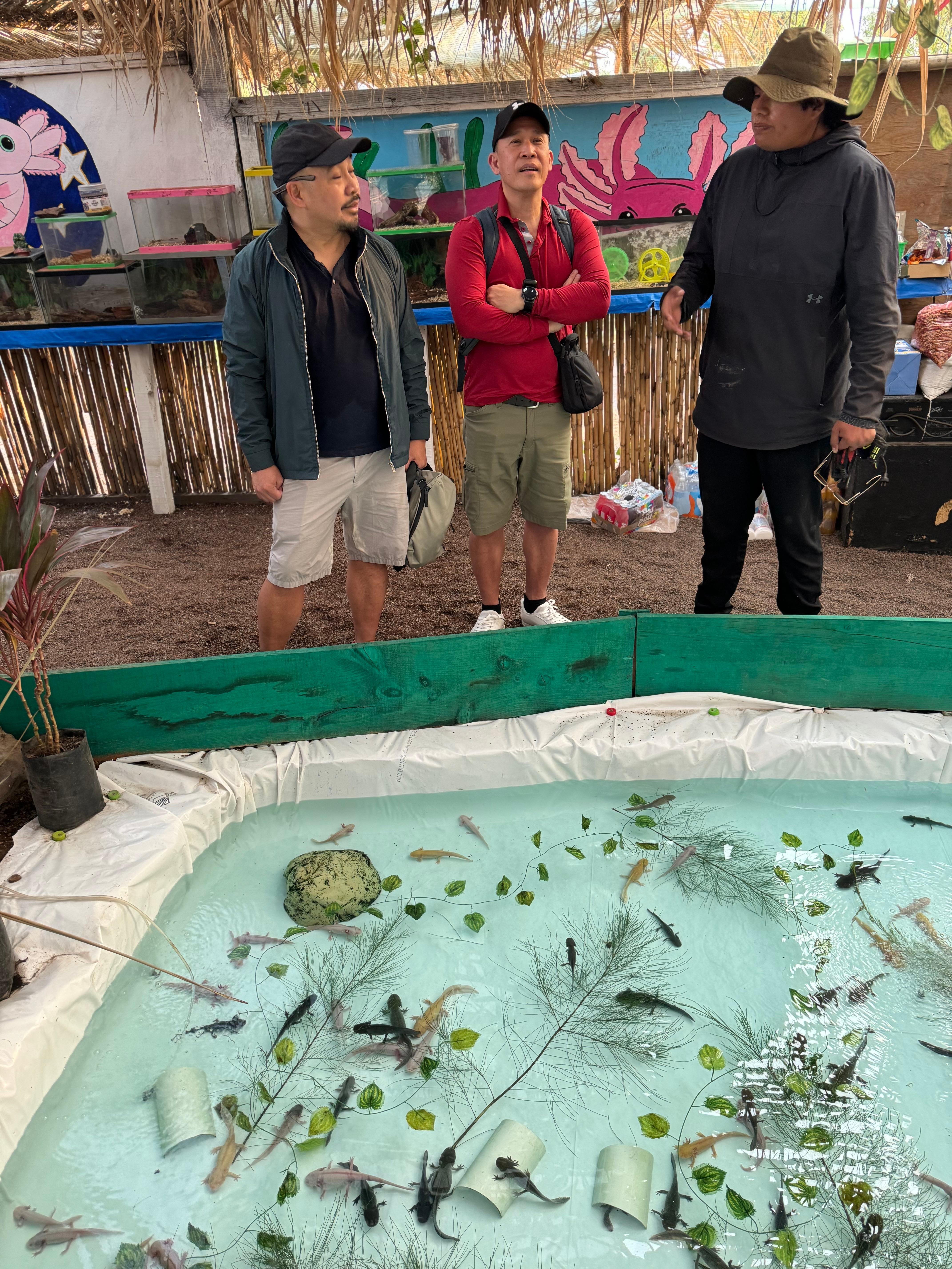 Xochimilco Axolotl Refuge & Canal Expedition