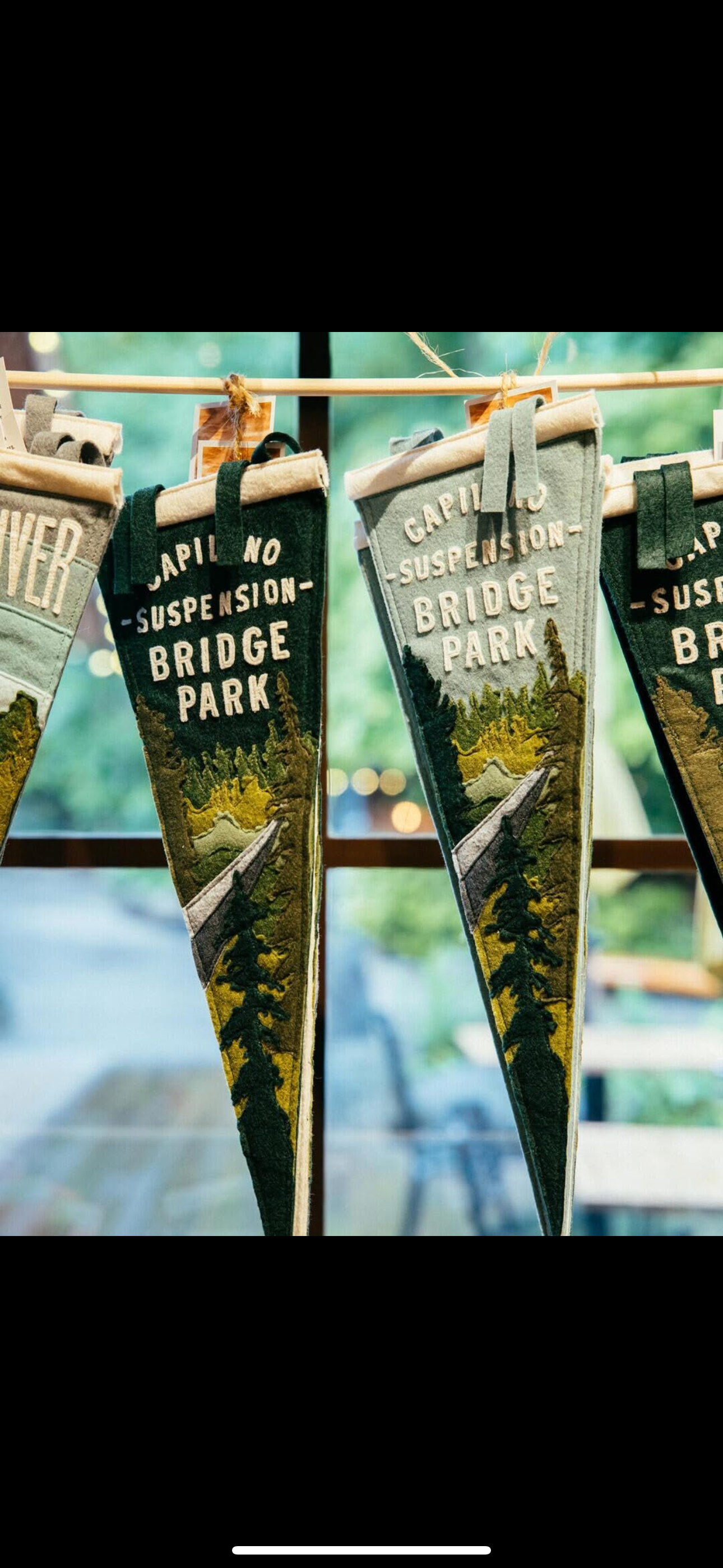Private Vancouver Highlights: Capilano Suspension & Grouse Mountain