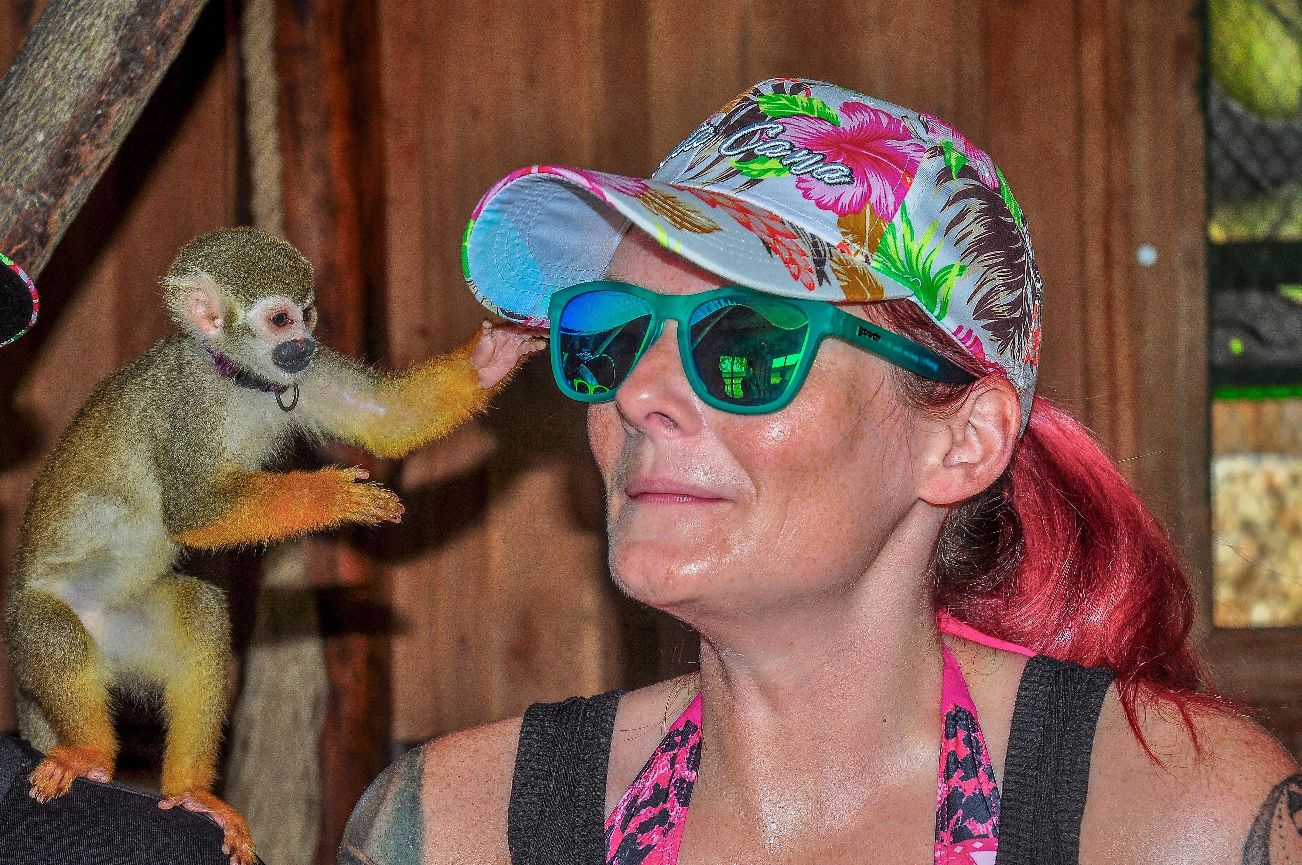 Punta Cana Monkey Park, Dominican Farm & Cenote Swim – Full Day Combo