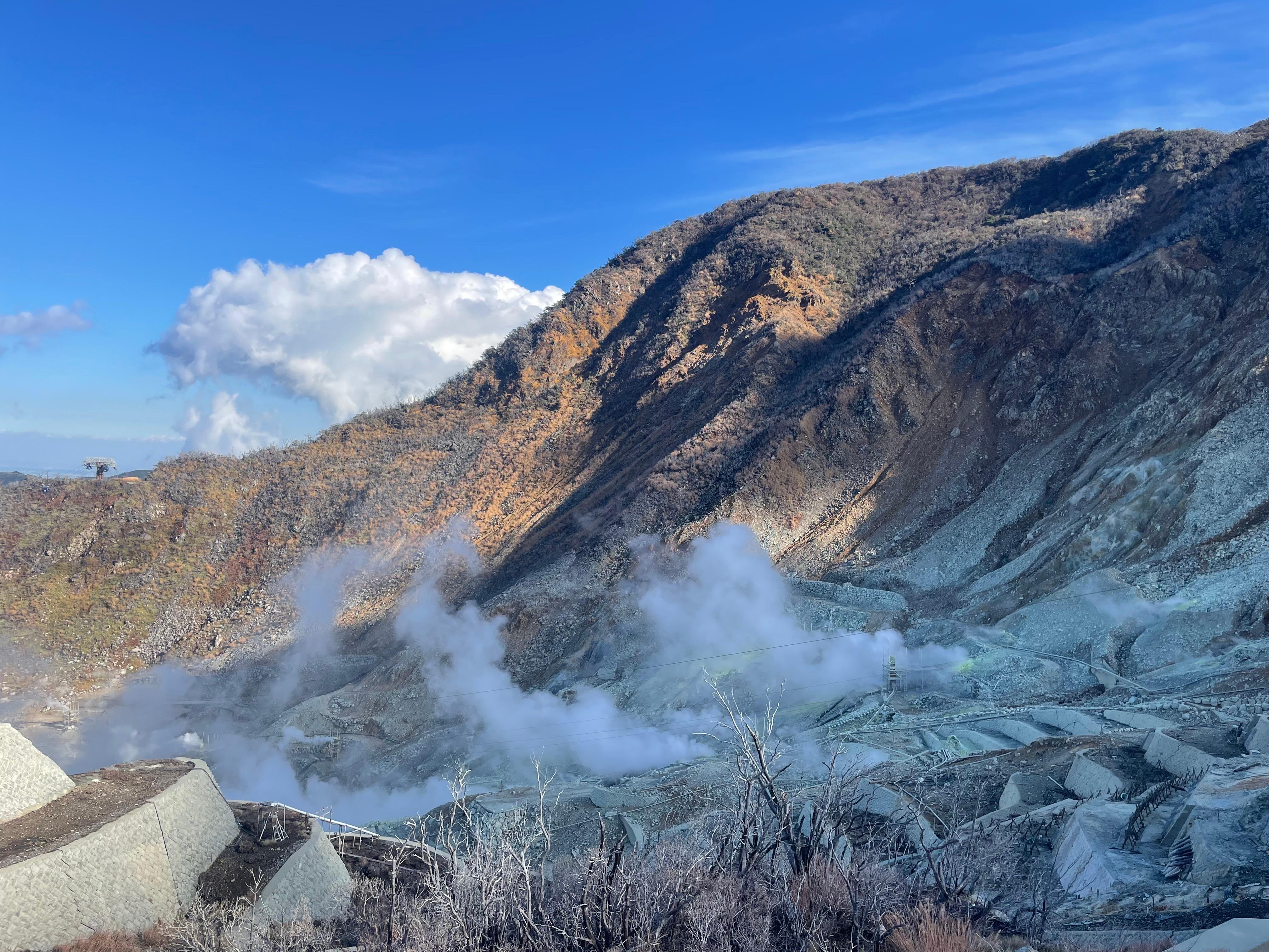 Private Hakone Day Trip from Tokyo