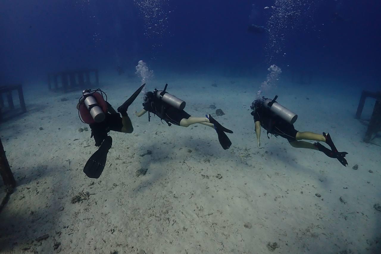 3-Dive Certification Expedition: Phi Phi Islands & Shark Point