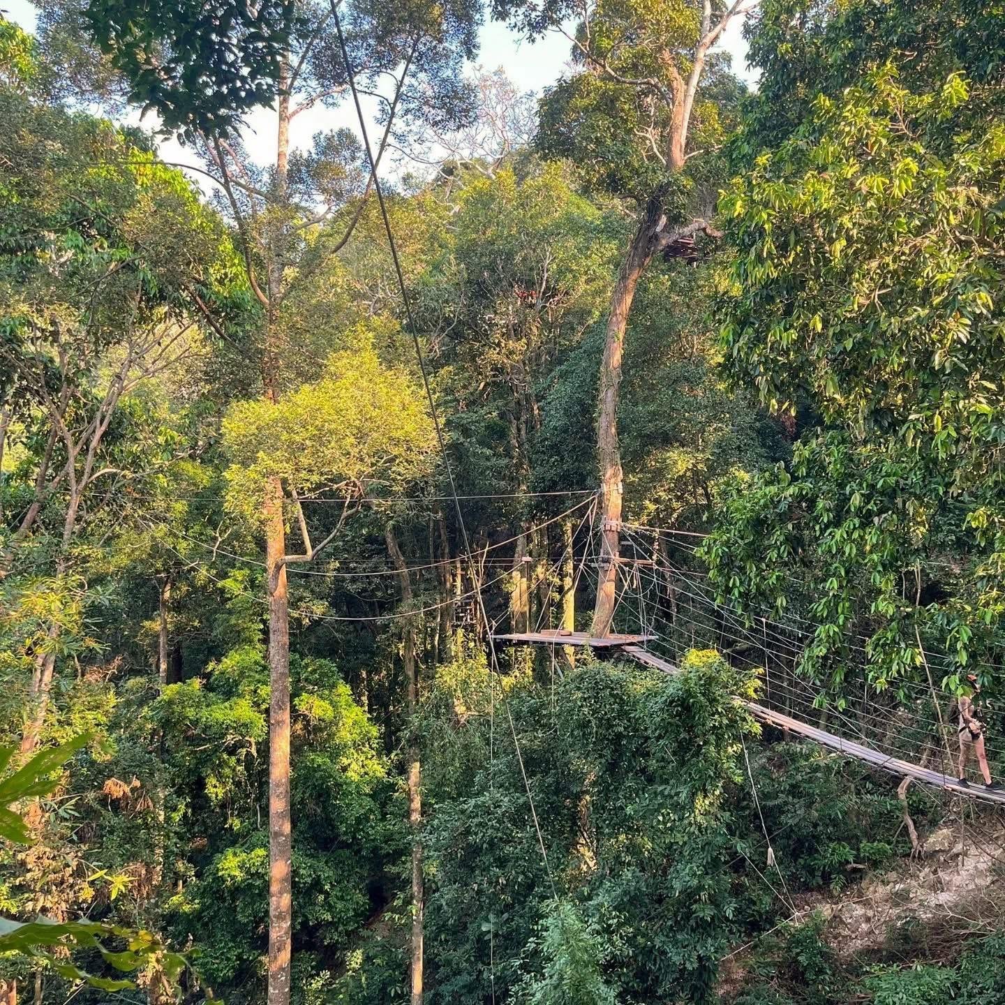 Samui Zipline Adventure: Jungle Canopy, Waterfall & Cafe