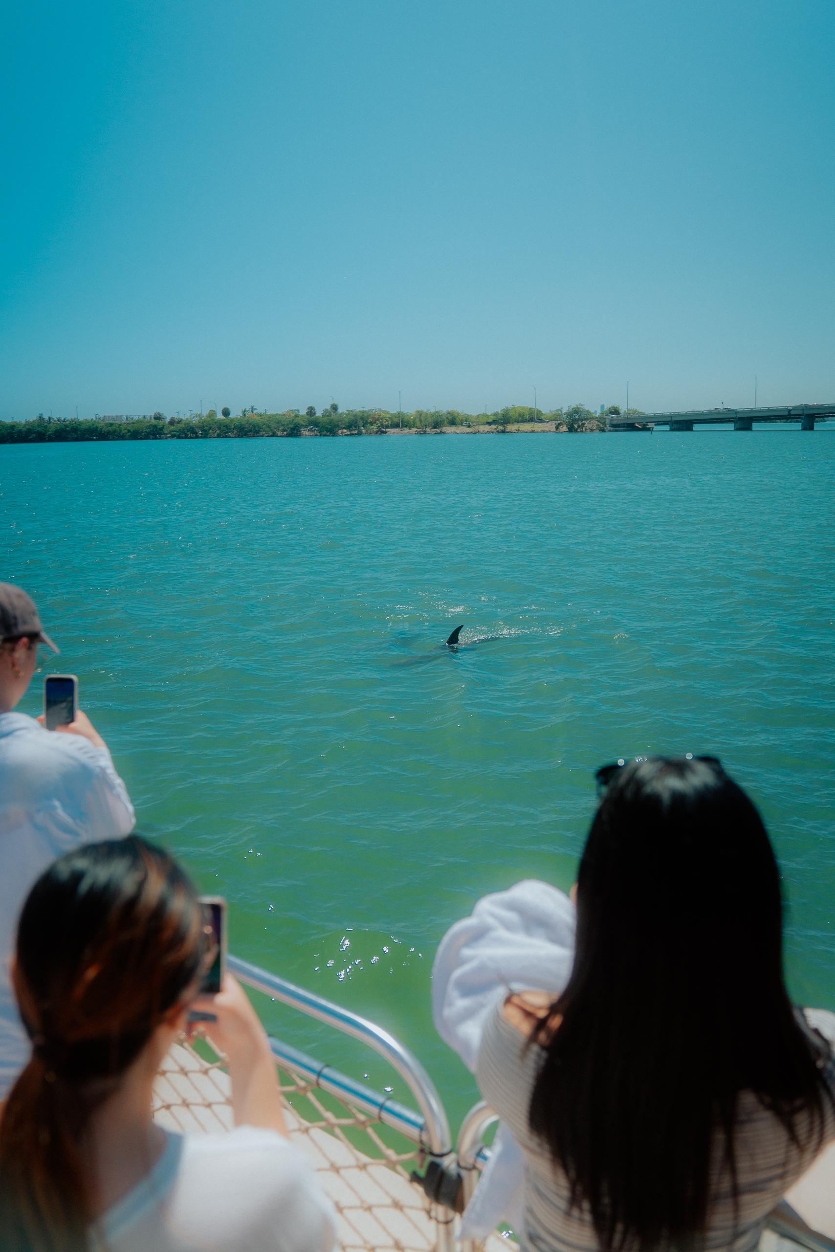 Raccoon Island Miami tour — Biscayne Bay wildlife boat cruise — image 15
