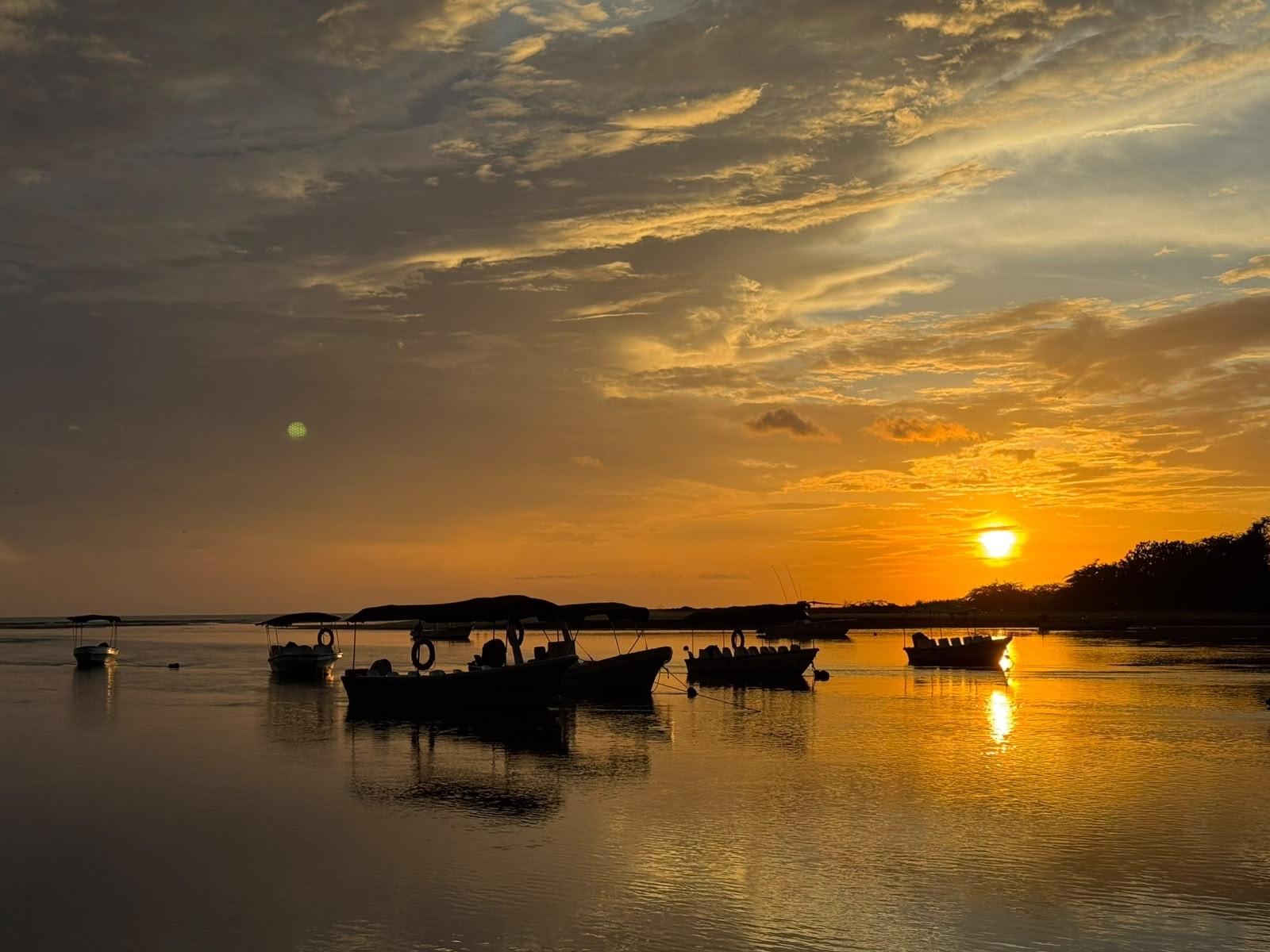 Tamarindo Estuary Wildlife Adventure