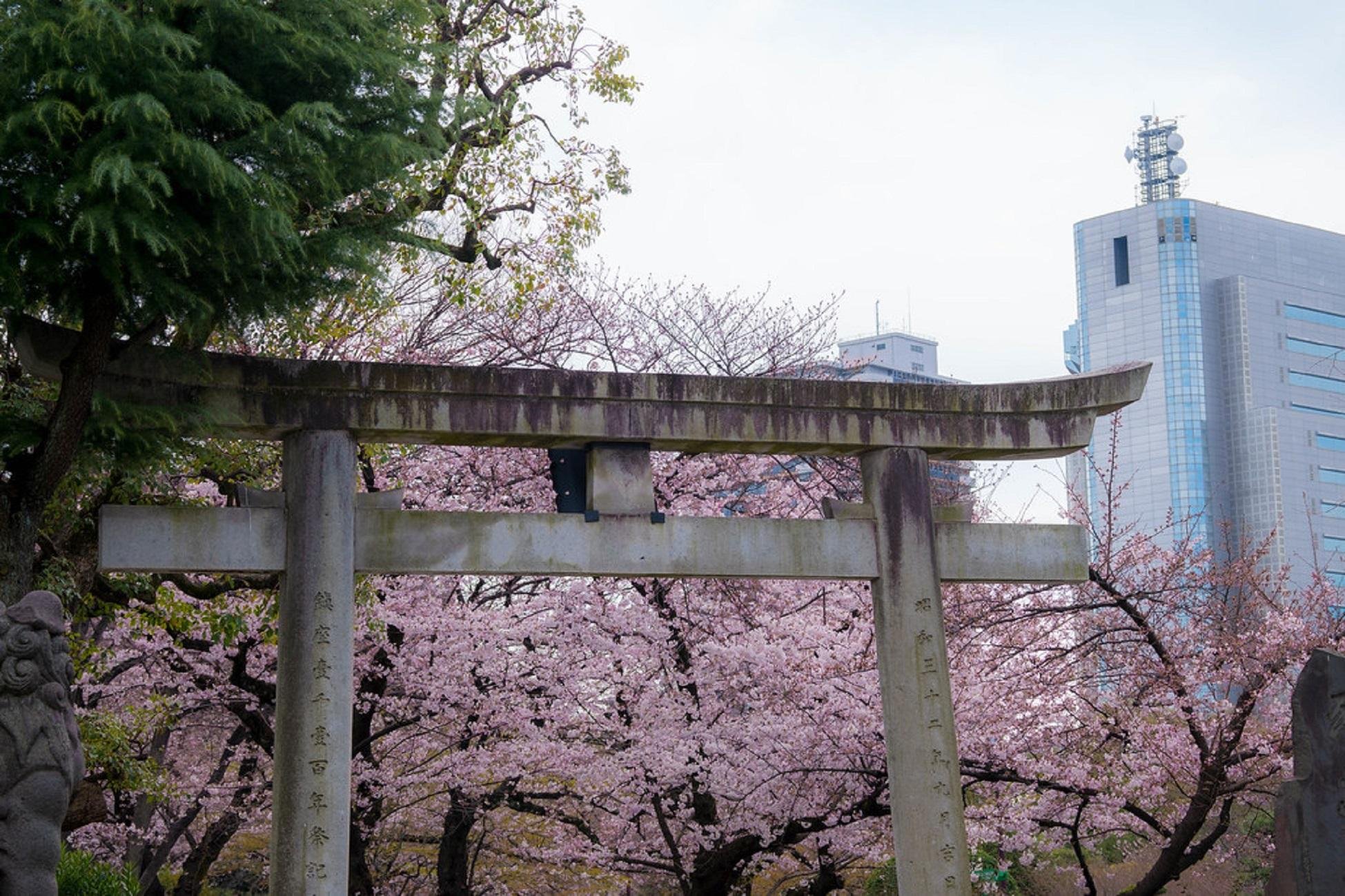 Asakusa Highlights Walk: Sensoji, Skytree & Local Snacks
