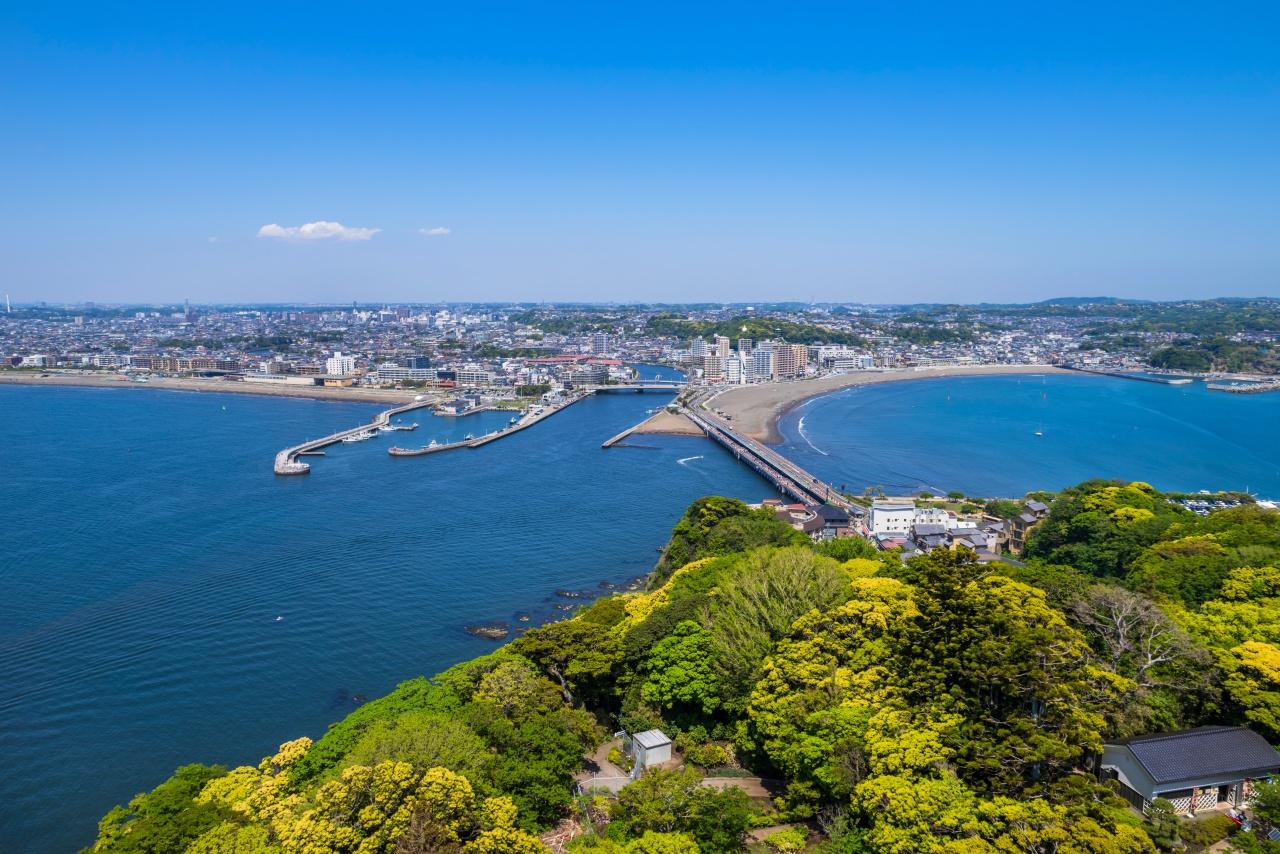 Hakone & Enoshima Day Tour: Ropeway, Pirate Ship & Mt. Fuji Views